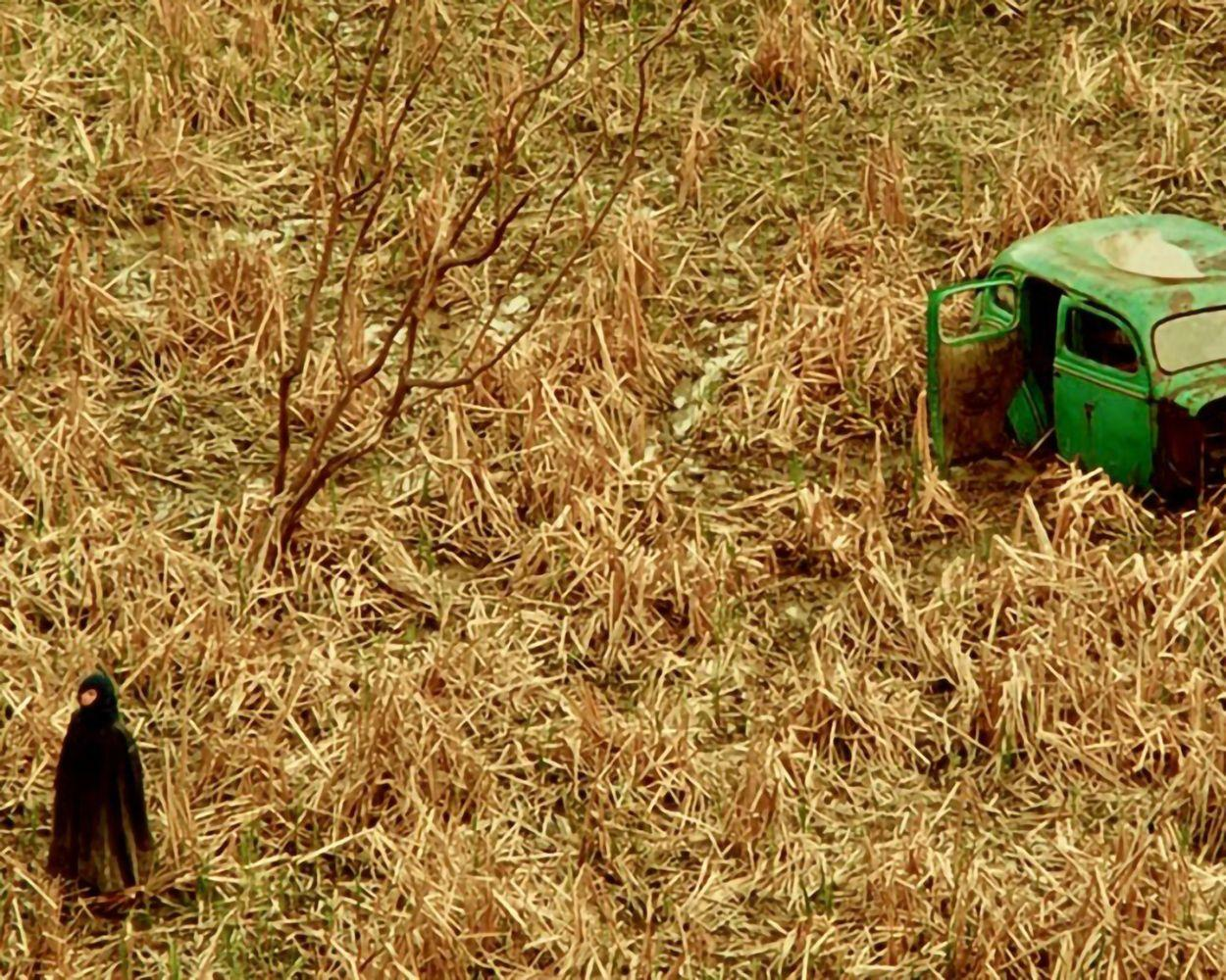 Ein alter grüner LKW mit offener Tür steht auf einem Feld mit trockenem Gras. Eine Person in Schwarz steht in der Nähe. Kahle Äste sind sichtbar.