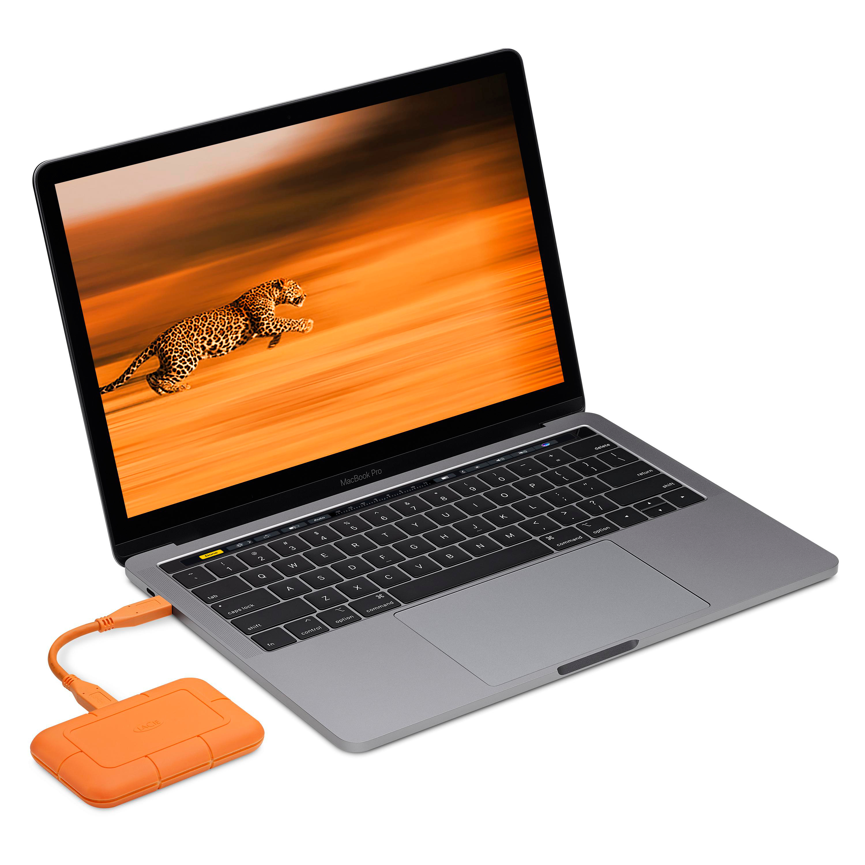 Laptop mit Leopard-Bildschirm, verbunden mit orangefarbener externer Festplatte. Weißer Hintergrund.