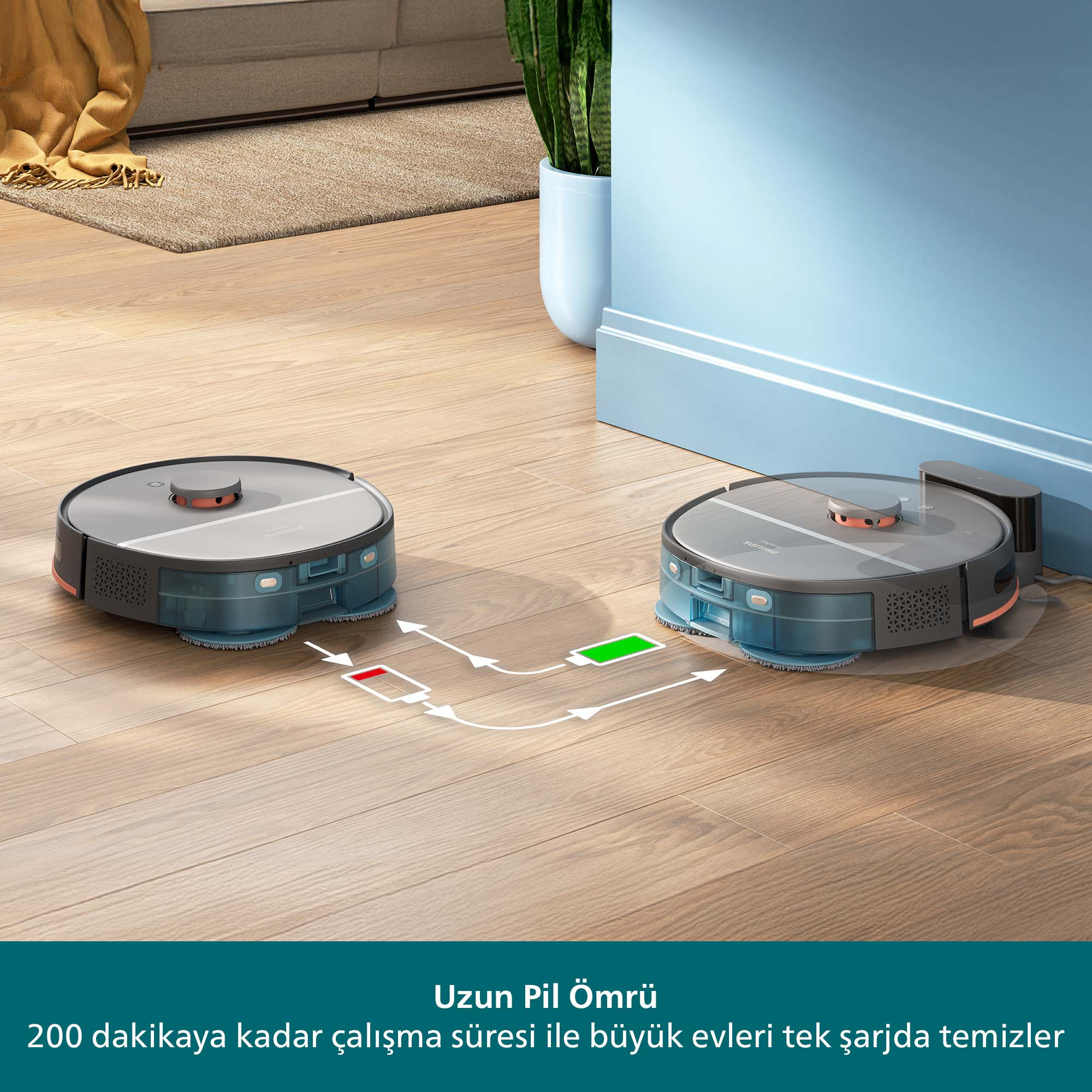 Ahşap zeminde iki robot süpürge. Biri şarj oluyor. Mavi duvar, halı ve arka planda yeşil bitki.