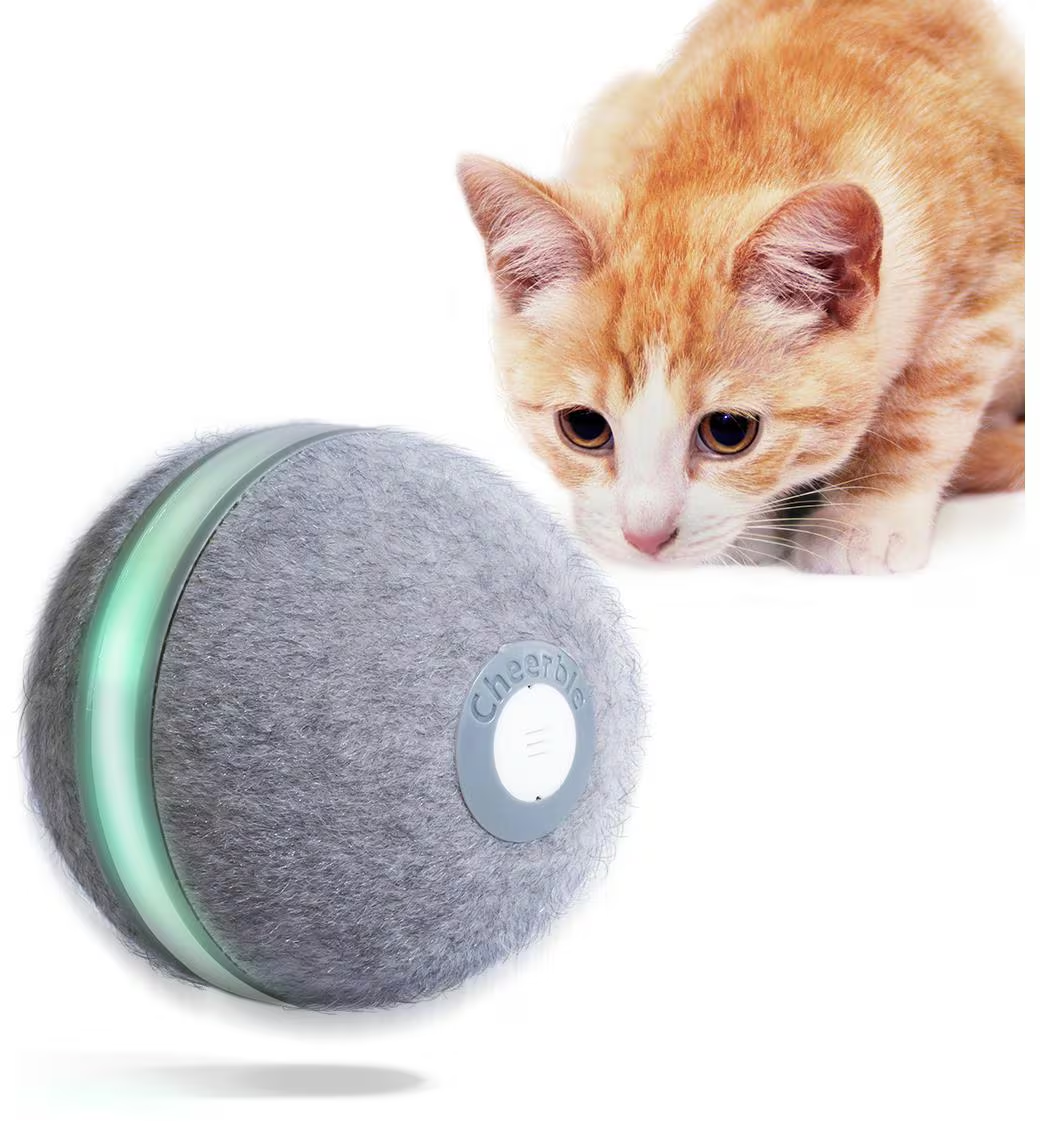 Un chat orange et blanc regarde une balle grise avec une lumière verte. La balle porte le mot Cheerble.