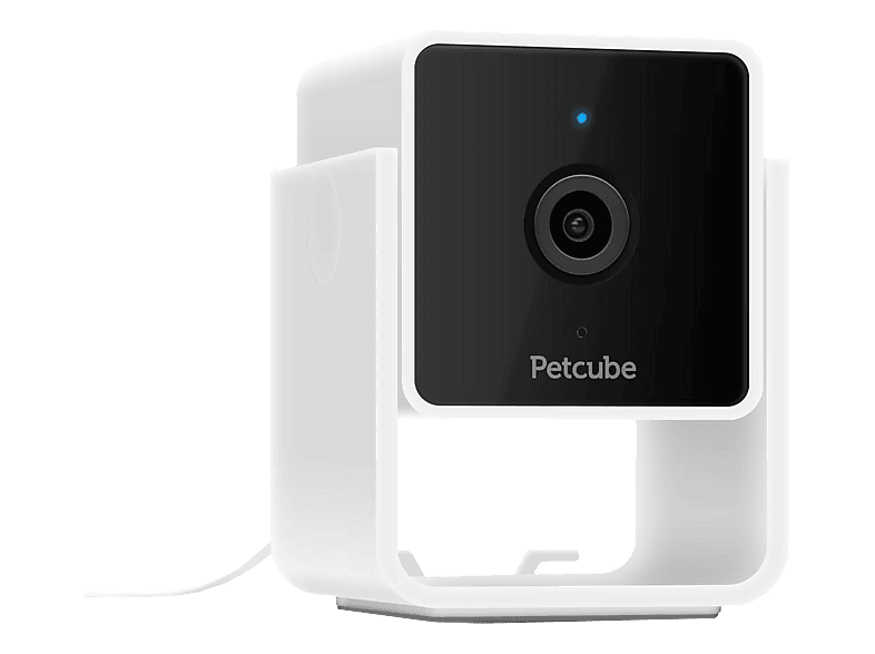 PETCUBE Cam Haustierkamera Schwarz / Weiss