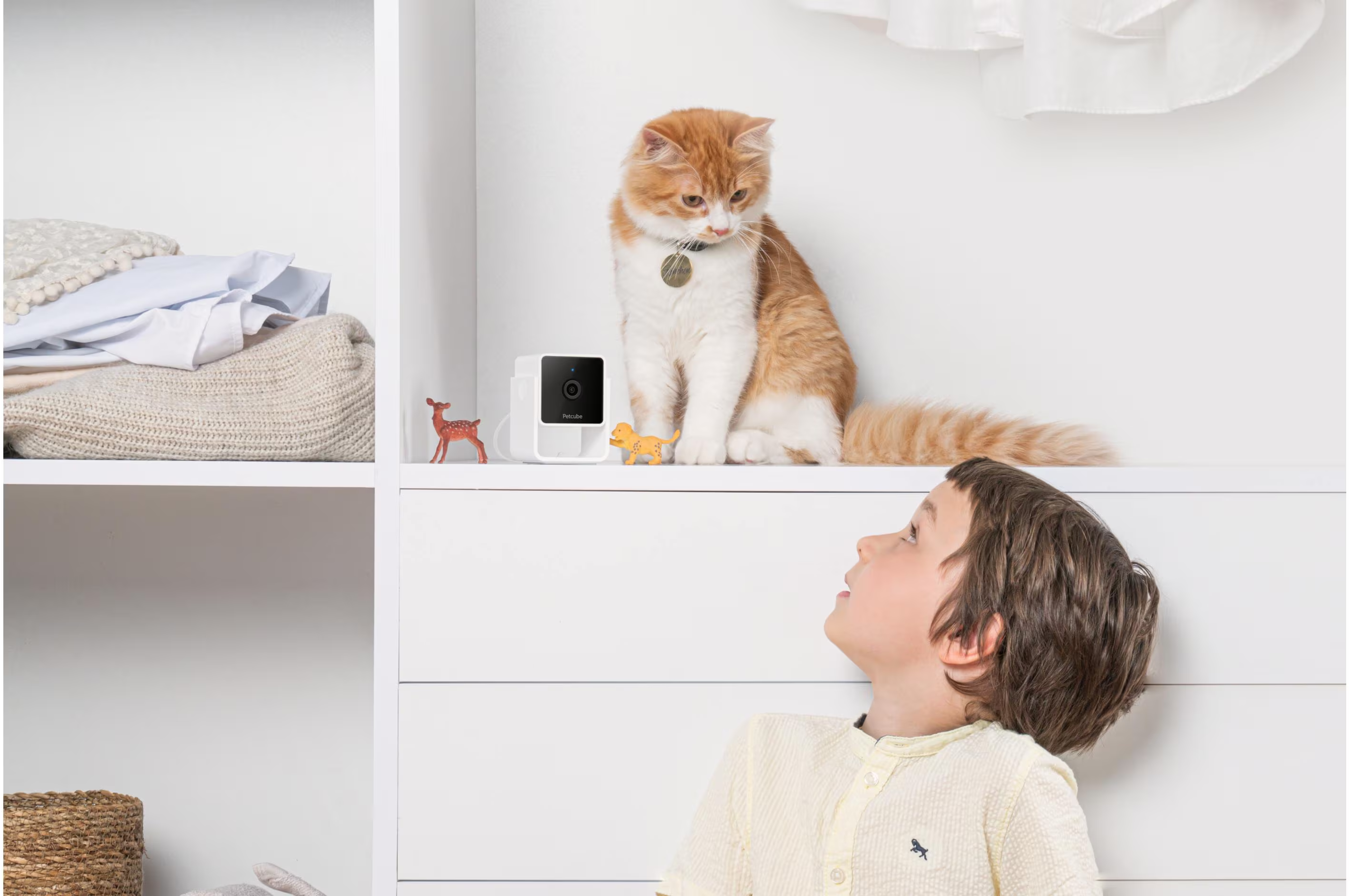 Un ragazzo guarda un gatto su uno scaffale con una telecamera e dei giocattoli. Abiti sullo scaffale sottostante.