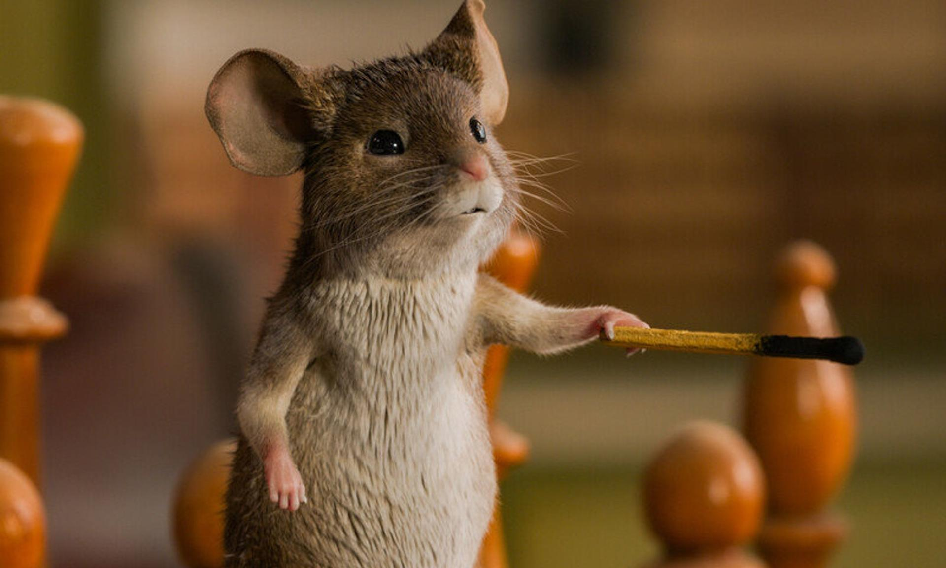 Eine Maus hält ein Streichholz. Es hat braunes Fell, einen weißen Bauch und große Ohren. Es steht zwischen verschwommenen Holzobjekten.