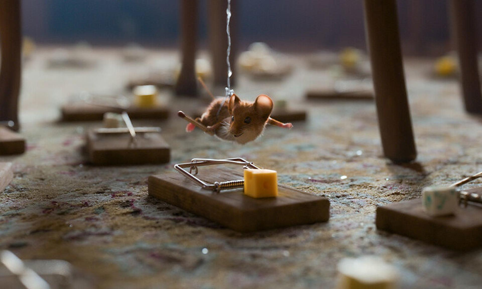 Eine Maus hängt in der Luft über einer Mausefalle mit Käse. Holzbeine und weitere Fallen sind im Hintergrund. Der Boden ist strukturiert.