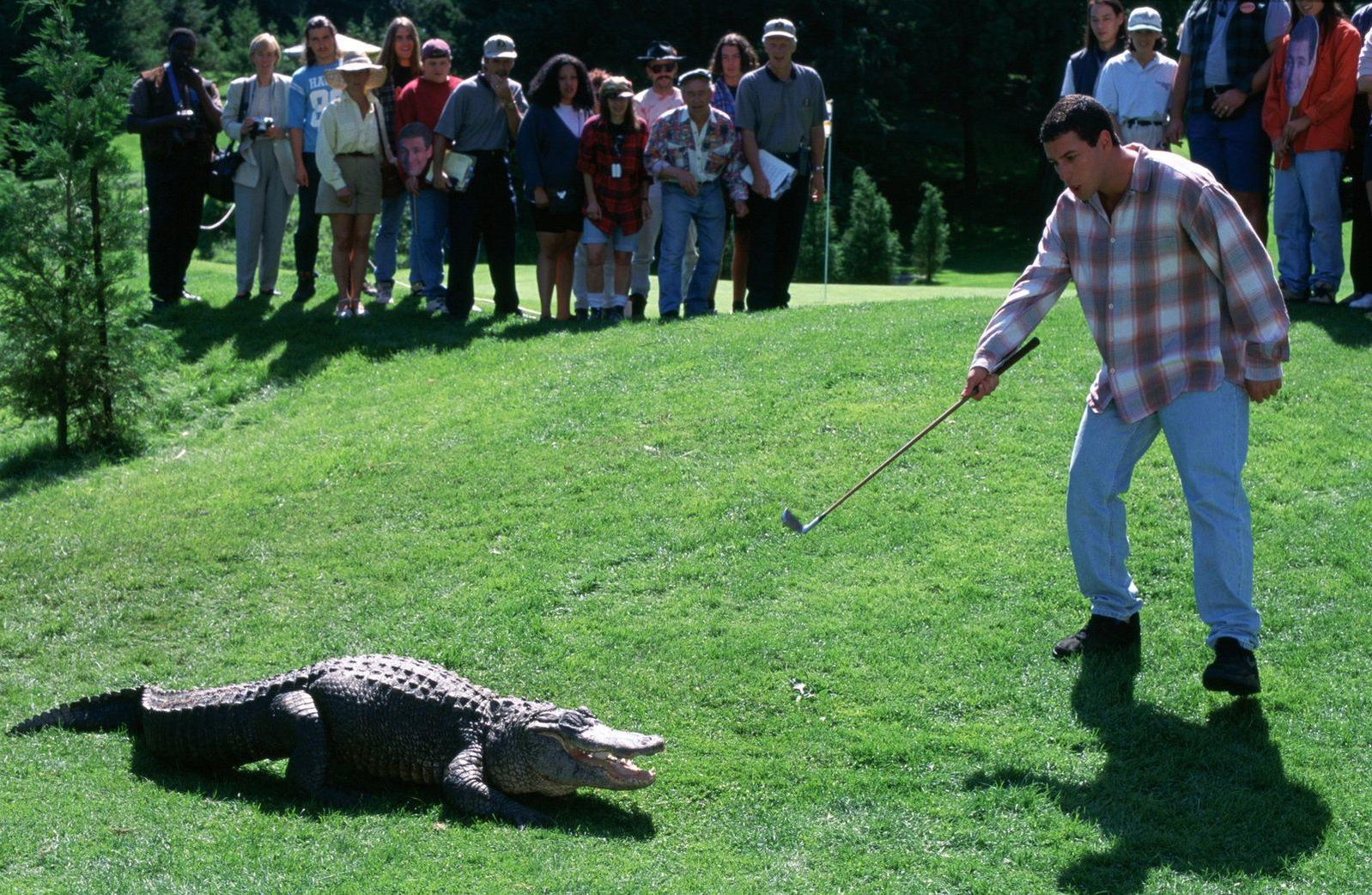 Ein Mann schwingt einen Golfschläger auf ein Alligator auf grünem Gras. Eine Menschenmenge schaut im Hintergrund zu.