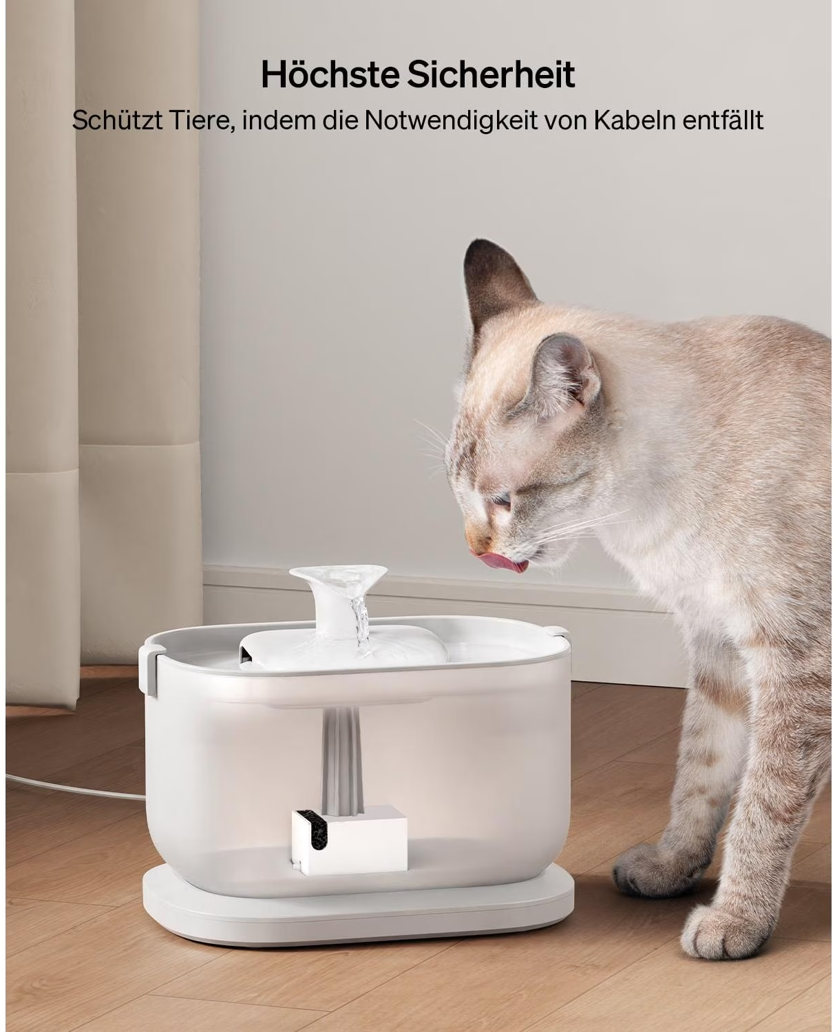 Un gatto beve da una fontana d'acqua bianca per animali domestici. La fontana è accanto a un pavimento in legno. Testo in alto: 'Massima sicurezza'.
