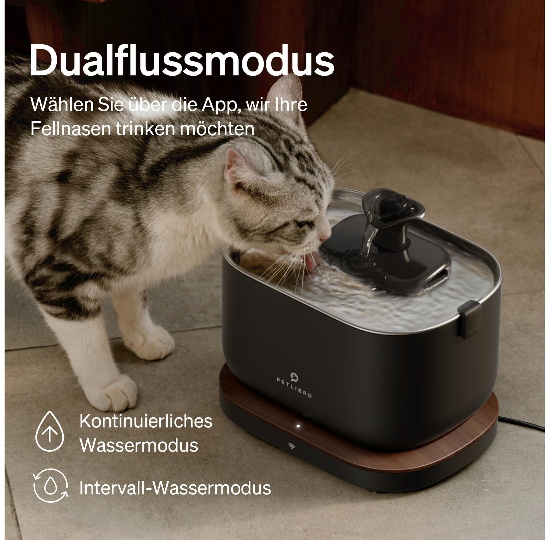 Un gatto beve da una fontana d'acqua nera con acqua corrente, base in legno e logo Petlibro.