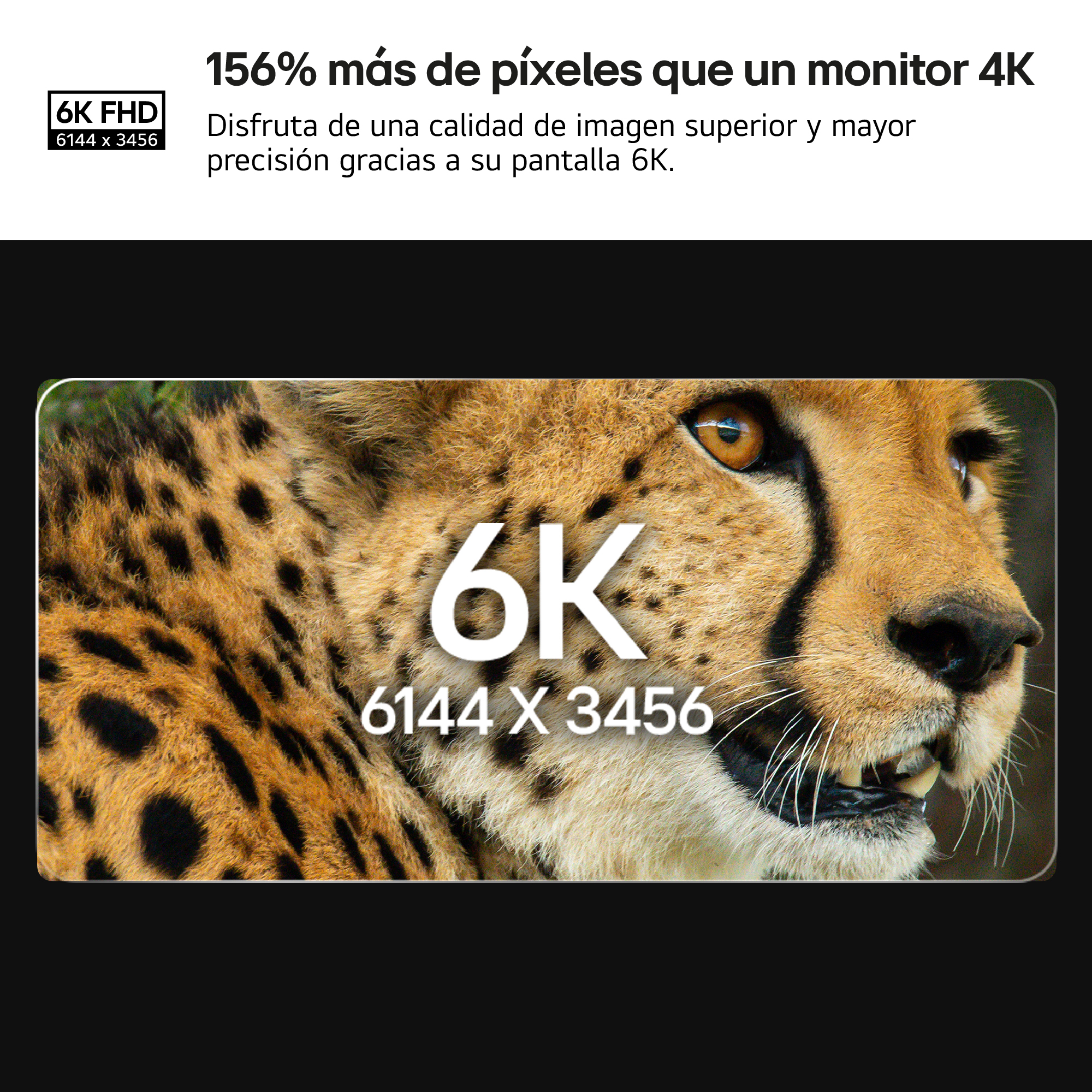 Imagen con texto sobre una pantalla 6K y un primer plano de la cara de un guepardo.