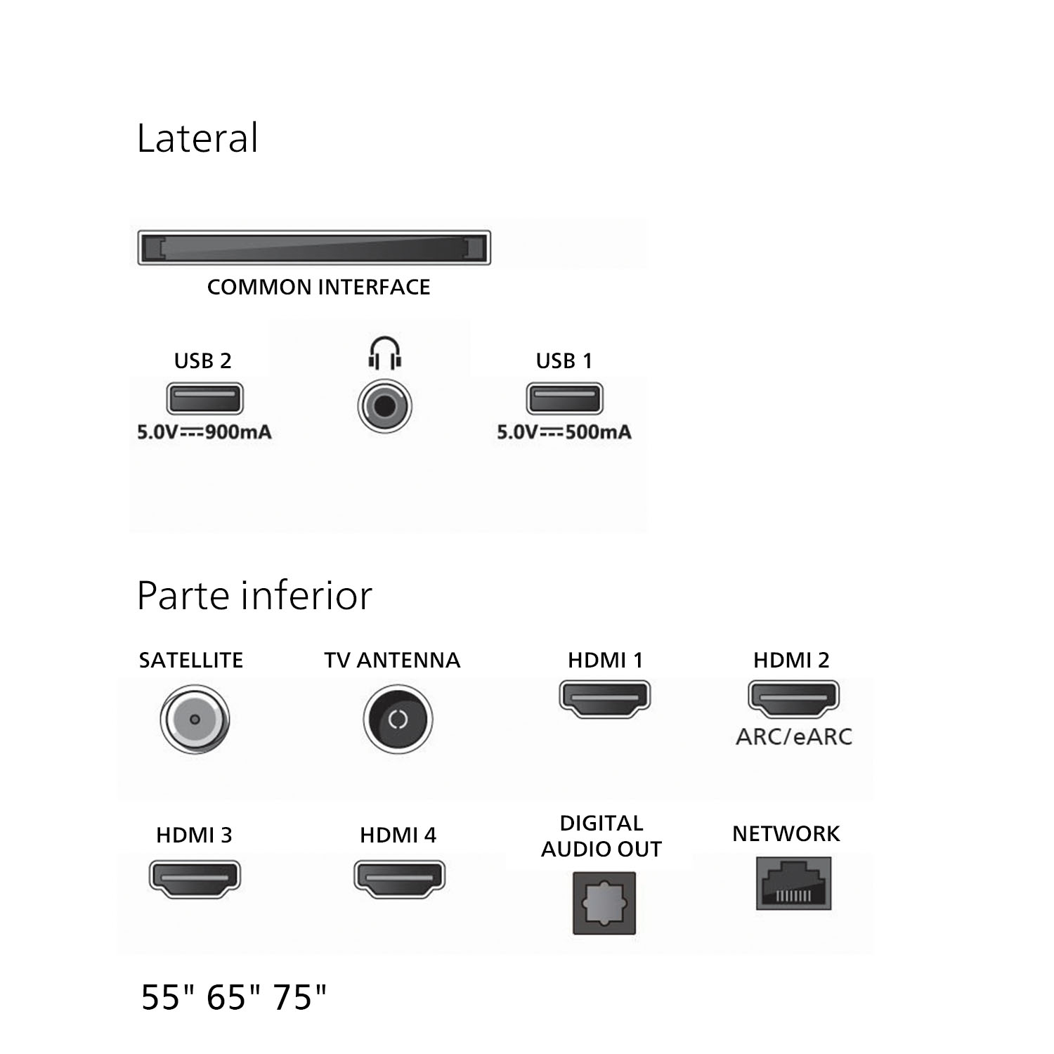 Diagrama de puertos de TV: USB, HDMI, antena y red. Las etiquetas incluyen 'Common Interface' y 'Digital Audio Out'. Tamaños 55", 65", 75".