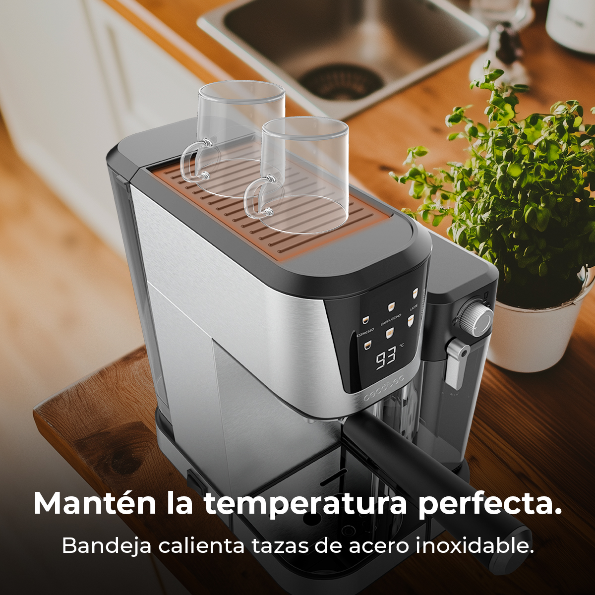 Máquina de espresso con dos tazas de vidrio encima, sobre una superficie de madera. Una planta en maceta blanca en el fondo.