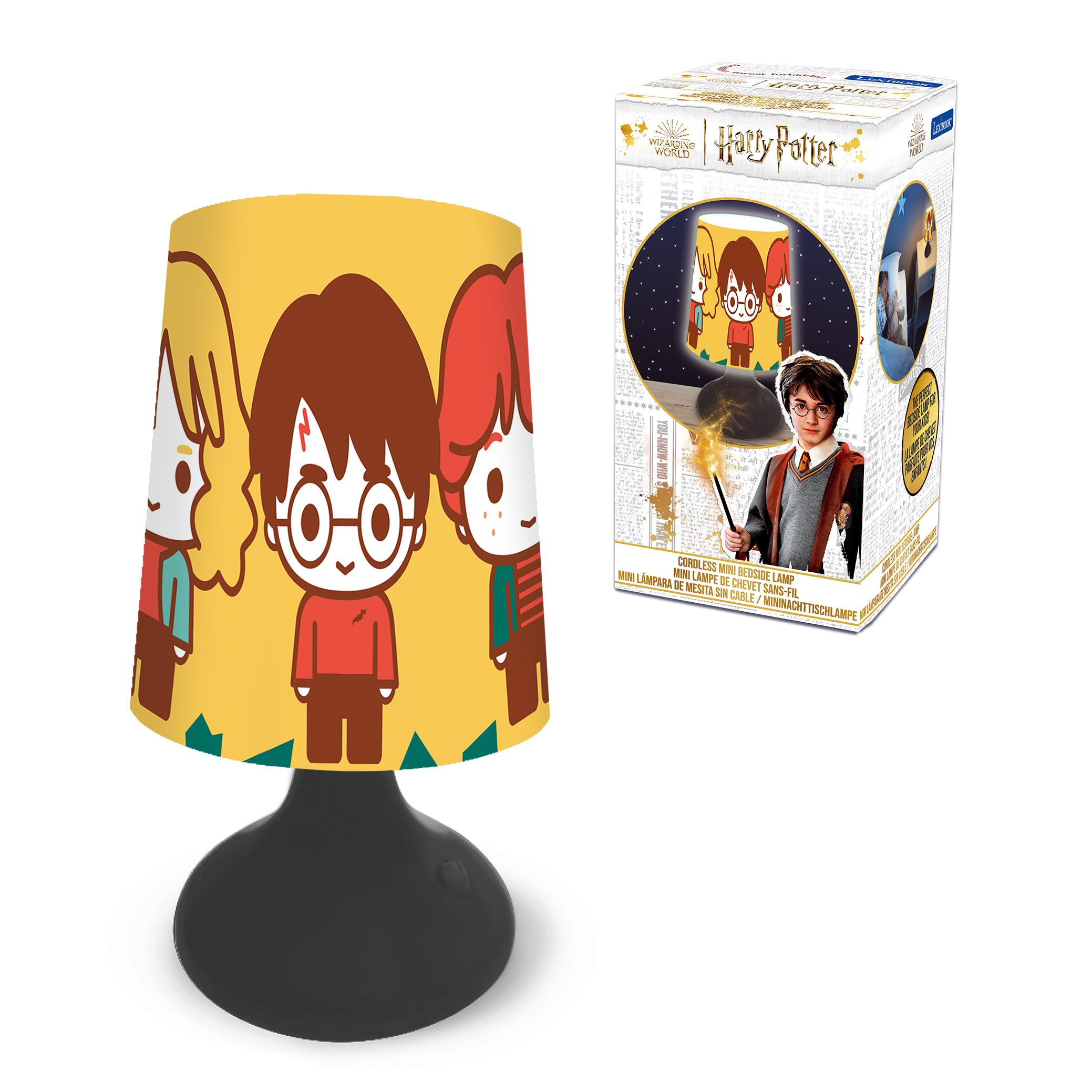 Eine Harry-Potter-Lampe mit Cartoon-Figuren und einer Schachtel mit dem gleichen Thema auf weißem Untergrund.