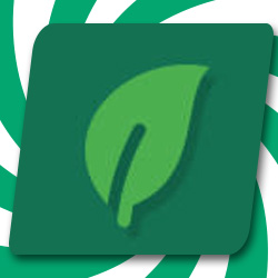 Zielona ikona liścia na ciemnozielonym kwadracie, na tle białych i zielonych wirów.