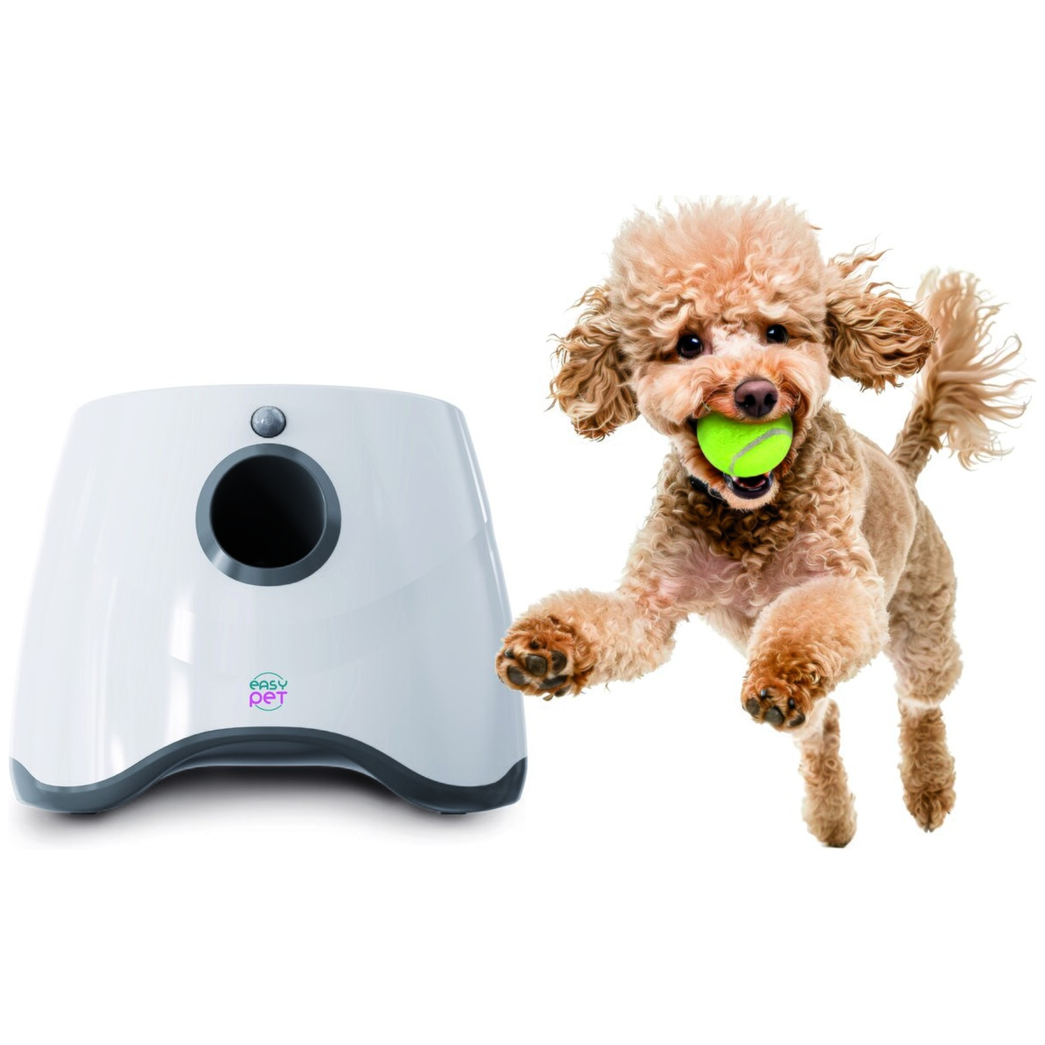 A brown poodle jumps, holding a green ball. A white and gray Easy Pet ball launcher is on the left.