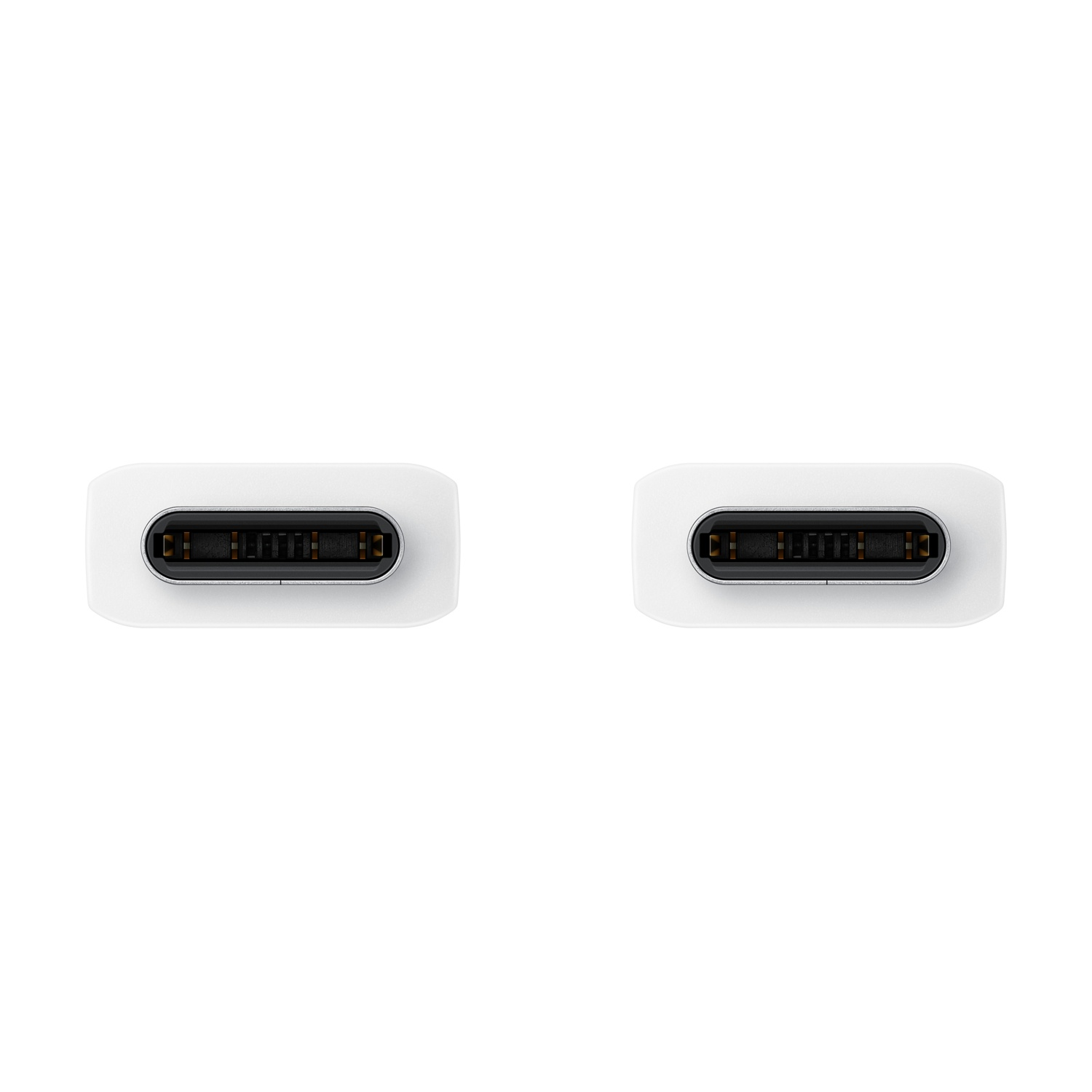 Due connettori USB-C bianchi visti dall'alto, ciascuno con interno nero e pin dorati, su sfondo bianco.