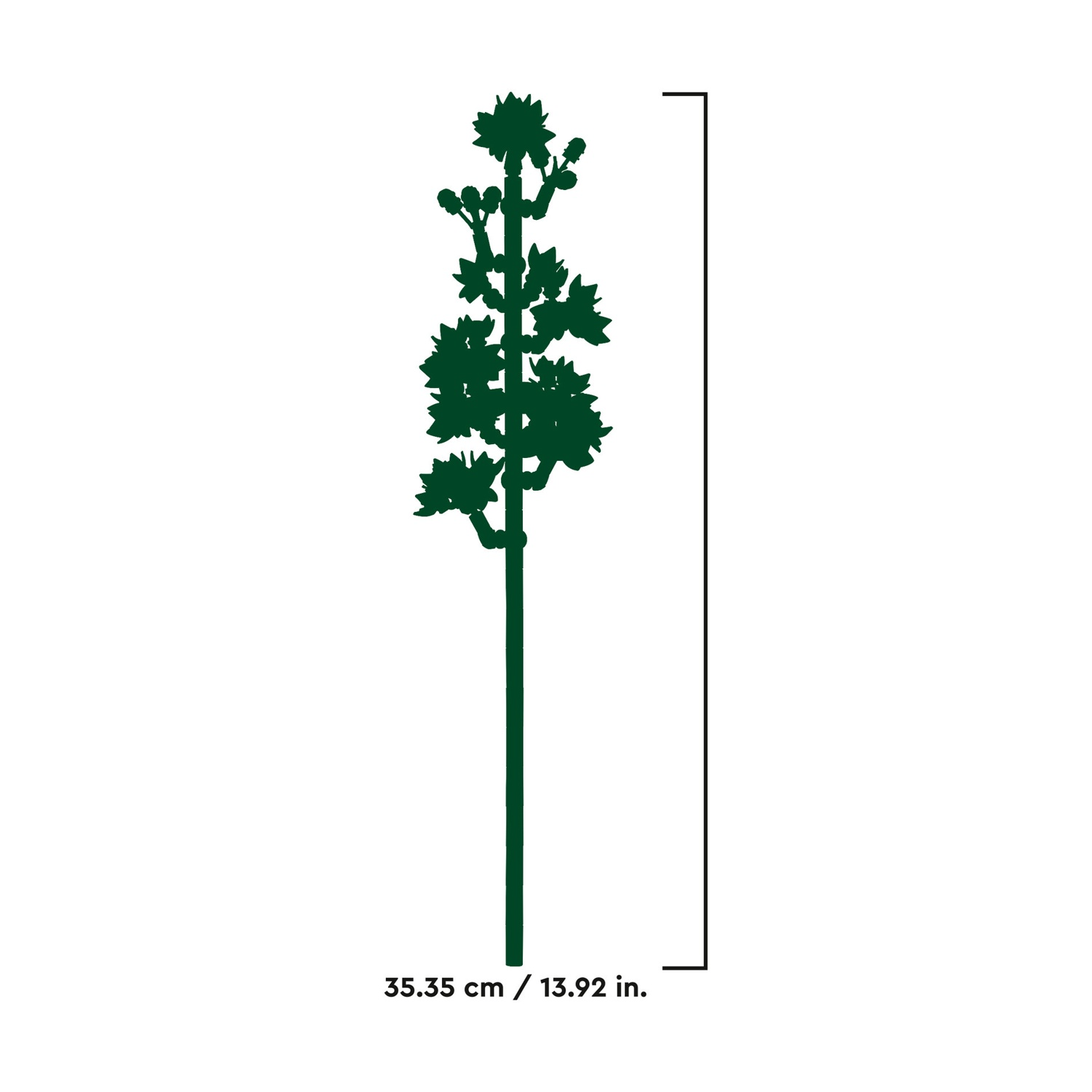 Una silhouette di albero verde scuro con un lungo stelo e una cima frondosa. Una linea di misurazione indica un'altezza di 35,35 cm / 13,92 pollici.