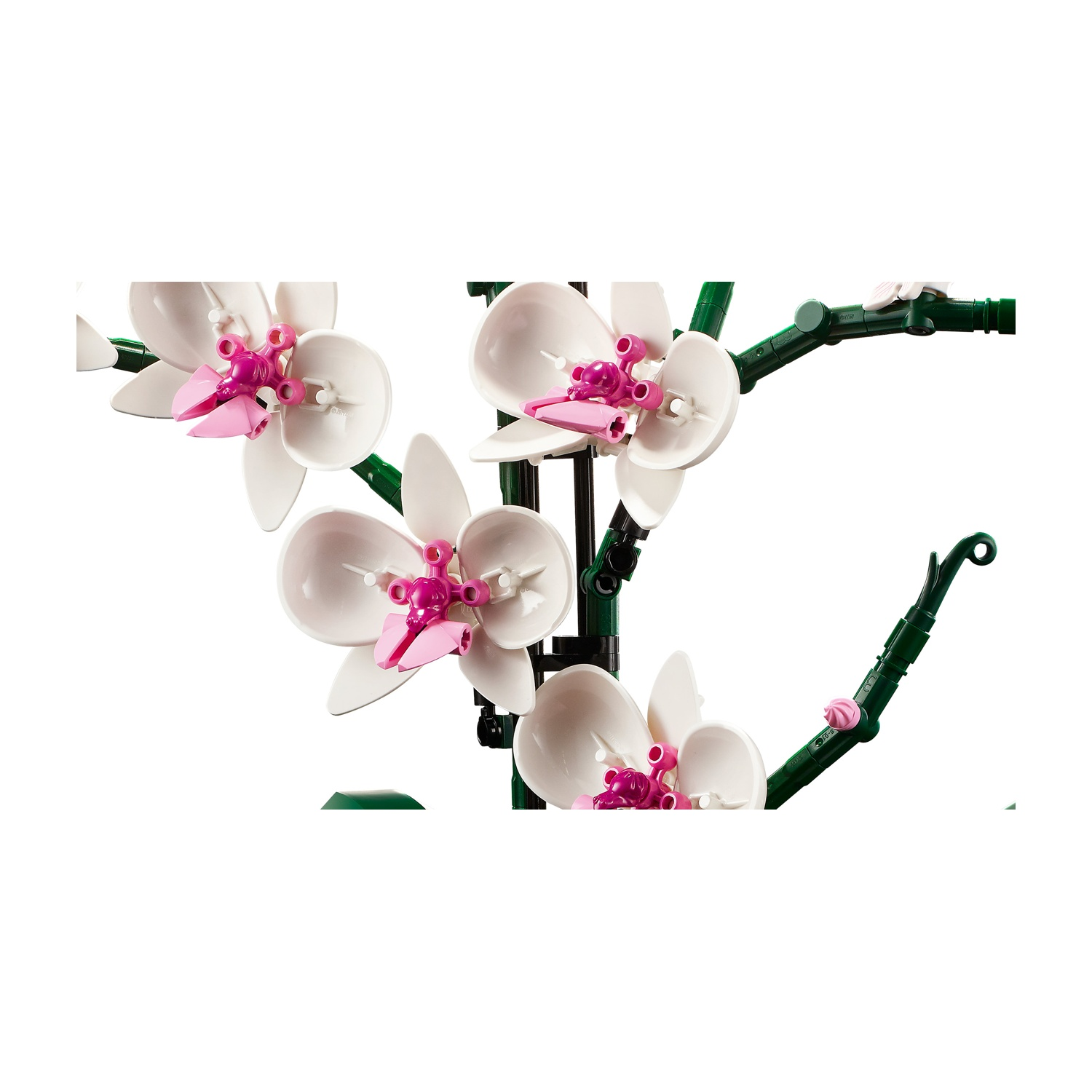 Primo piano di un'orchidea Lego. Petali bianchi con dettagli rosa e magenta. Steli e foglie verdi su sfondo bianco.
