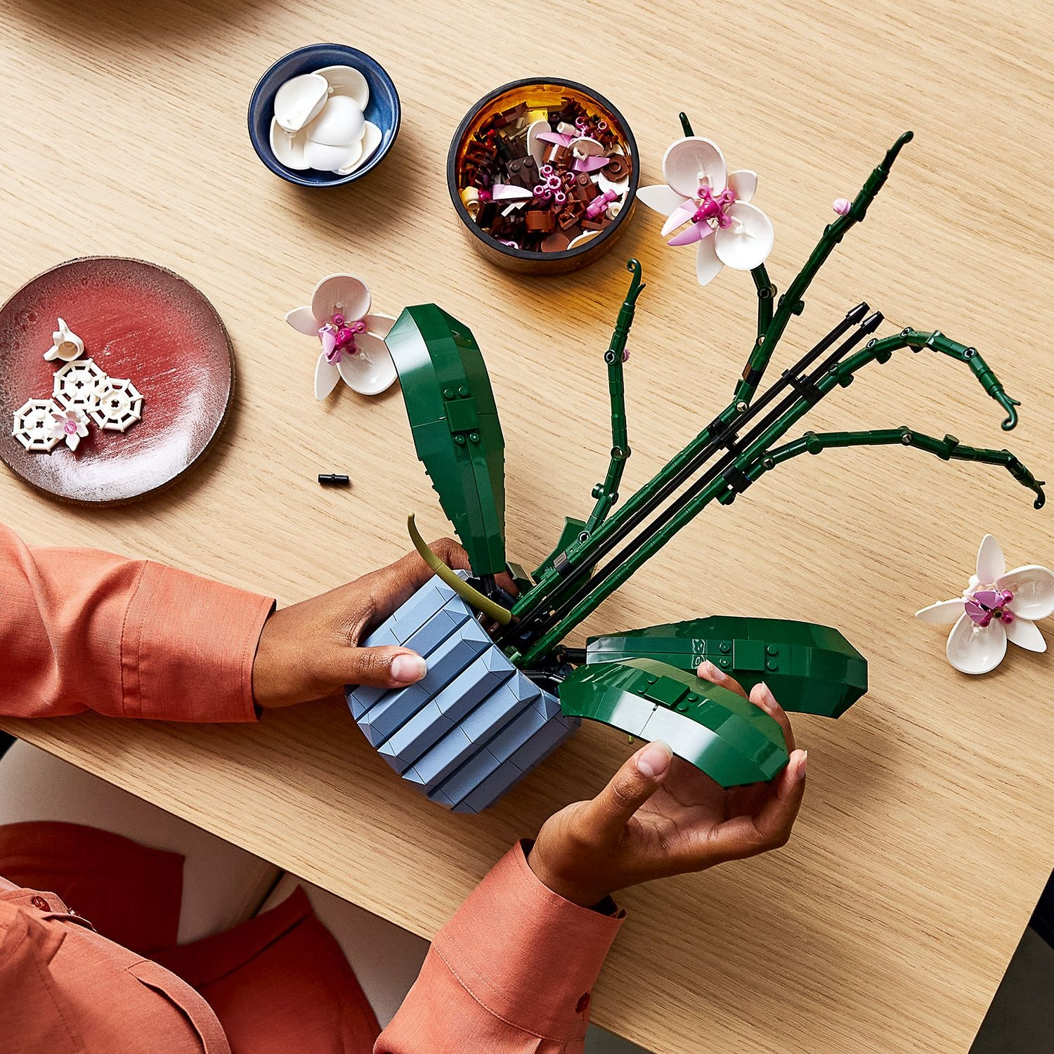 Mani assemblano un'orchidea LEGO. Componenti come petali, foglie e un vaso blu sono su un tavolo di legno.