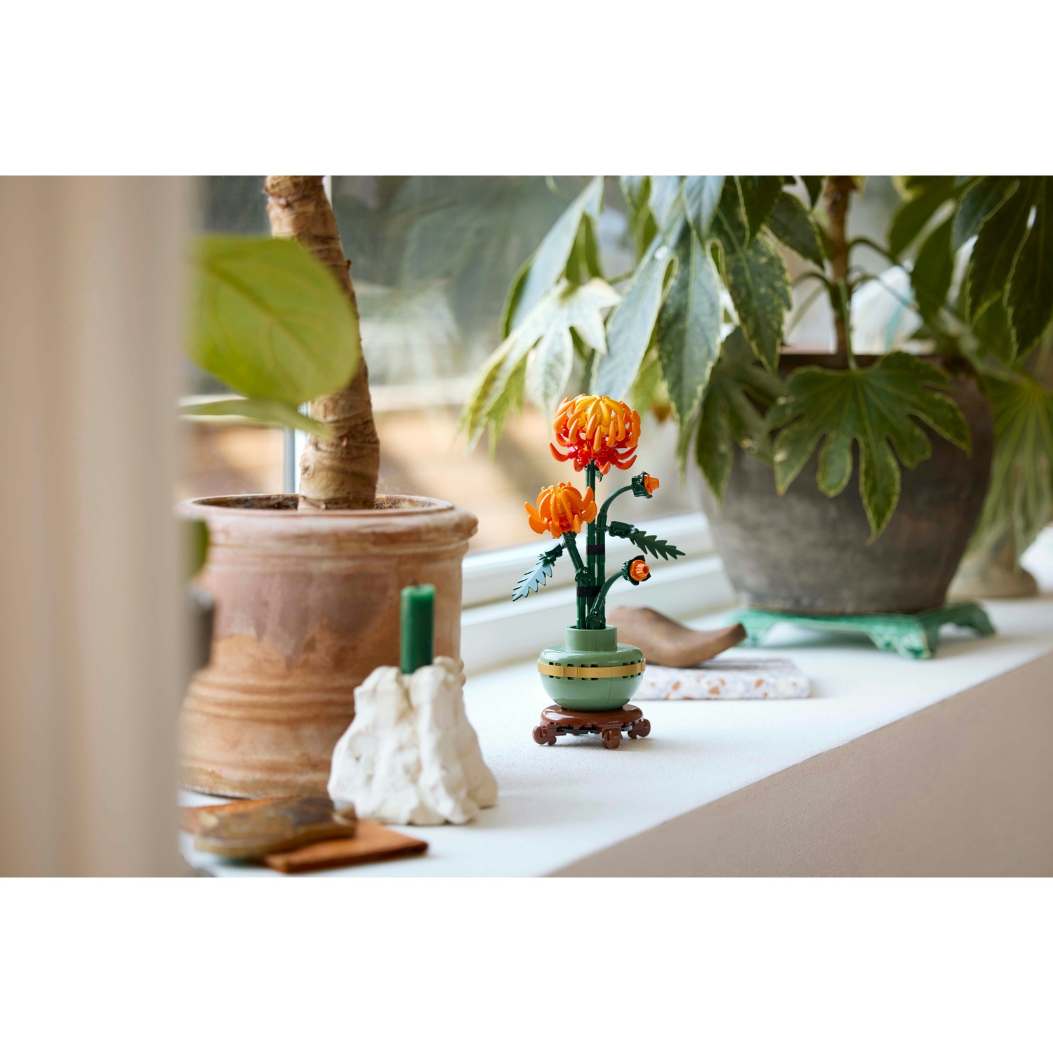 Un davanzale con piante. Un vaso con fiori arancioni e altre due piante sullo sfondo.
