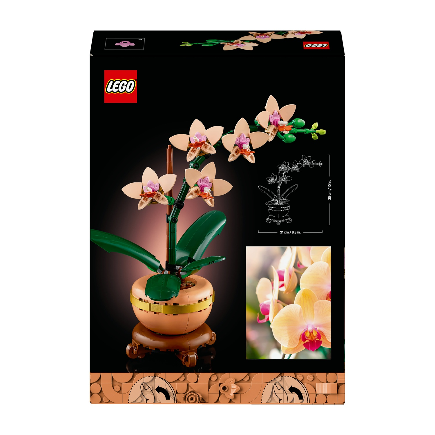 Scatola del set LEGO orchidea. Raffigura una pianta di orchidea beige con foglie verdi in un vaso marrone. Un'immagine più piccola mostra orchidee reali.