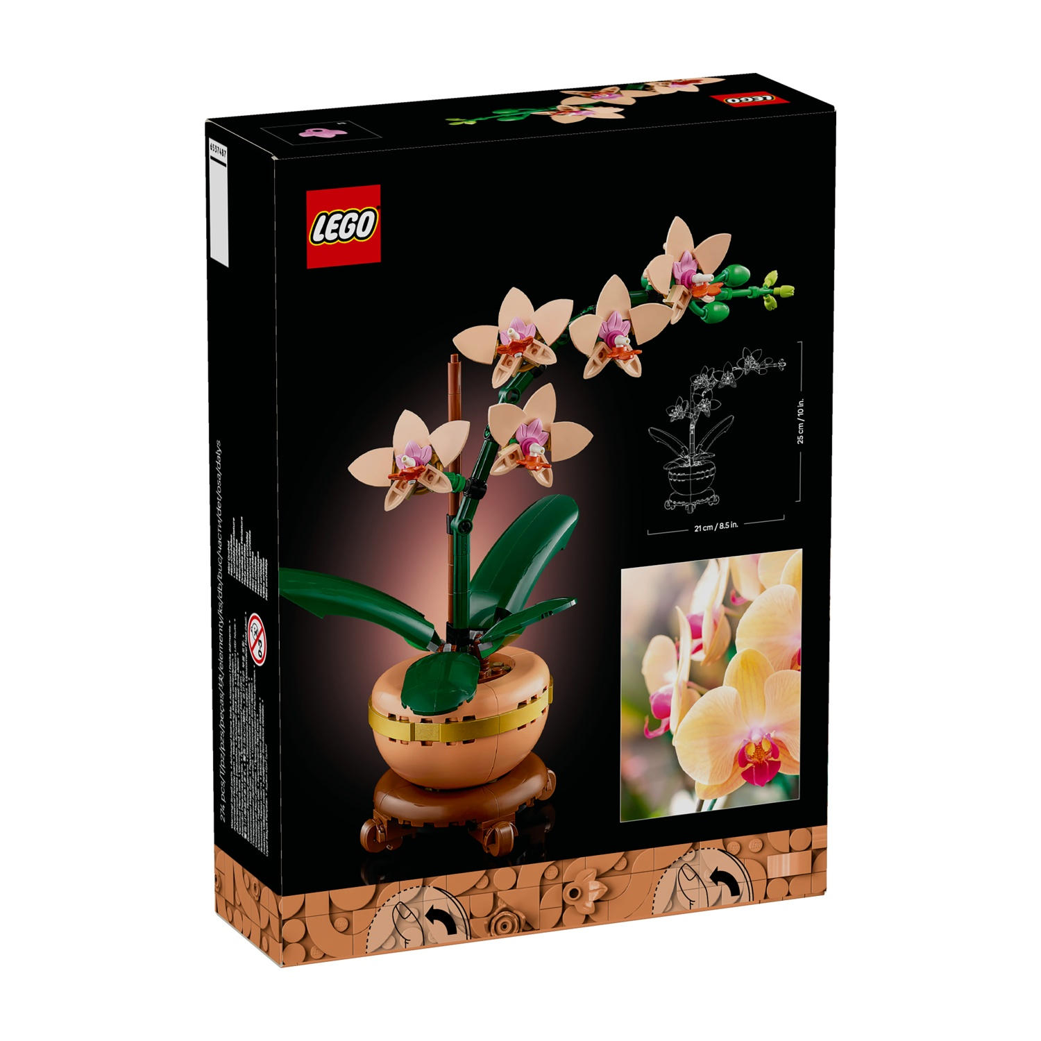 La scatola del set di orchidee LEGO. Presenta un modello di orchidea costruito. La scatola è nera con il logo LEGO e un'immagine del prodotto finito.