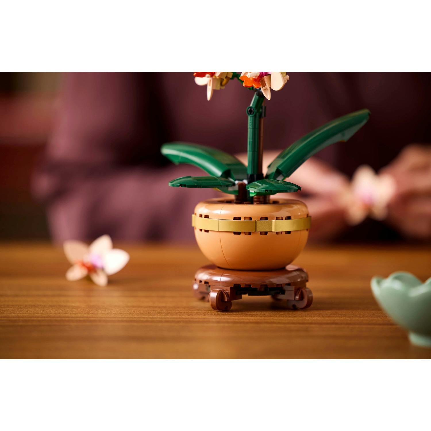 Un'orchidea Lego in un vaso marrone con foglie verdi e fiori rosa su un tavolo di legno. Una persona è sullo sfondo sfocato.