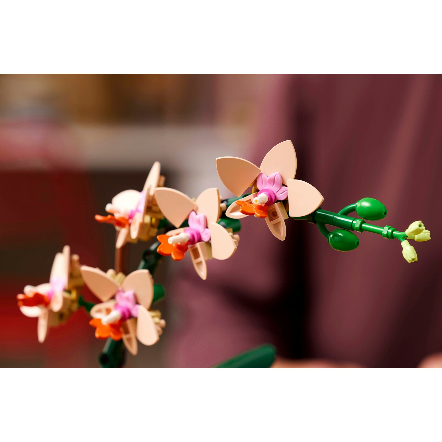 Un'orchidea Lego con petali beige, centri rosa e arancioni e uno stelo verde con boccioli, su sfondo sfocato.