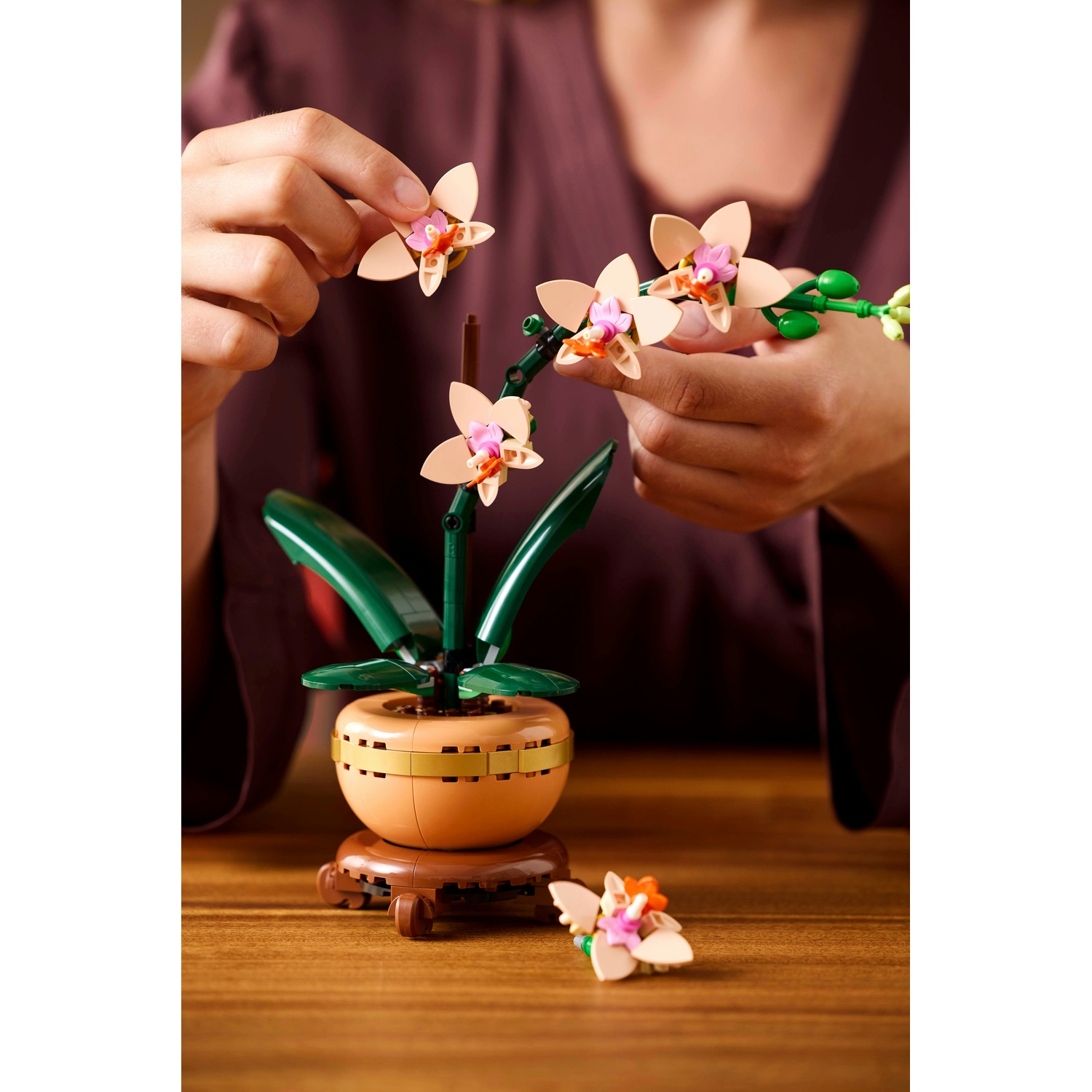 Una persona assembla un'orchidea LEGO. L'orchidea è in un vaso su un tavolo di legno. Fiori beige con centri rosa vengono disposti.