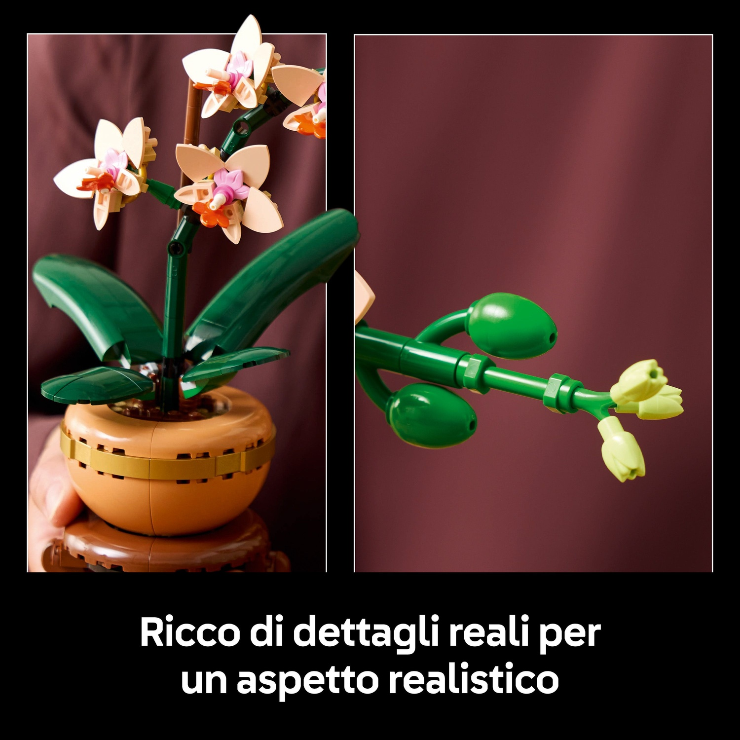 Una pianta di orchidee Lego in un vaso. I fiori sono rosa e bianchi. Lo sfondo è bordeaux uniforme.