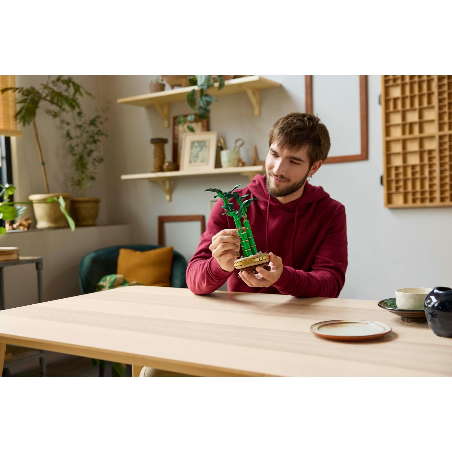 Un uomo con una felpa con cappuccio rossa esamina una pianta di bambù Lego verde su un tavolo di legno. Ripiani con piante sullo sfondo.