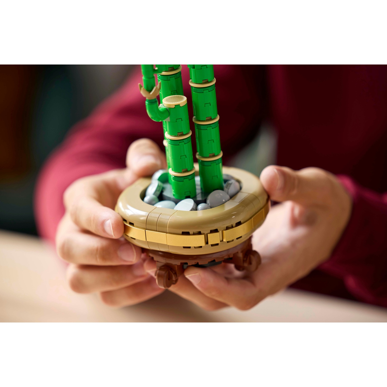 Mani che tengono un bonsai Lego. Steli di bambù verdi con dettagli beige in un vaso beige con pietre grigie. Camicia rossa sullo sfondo.
