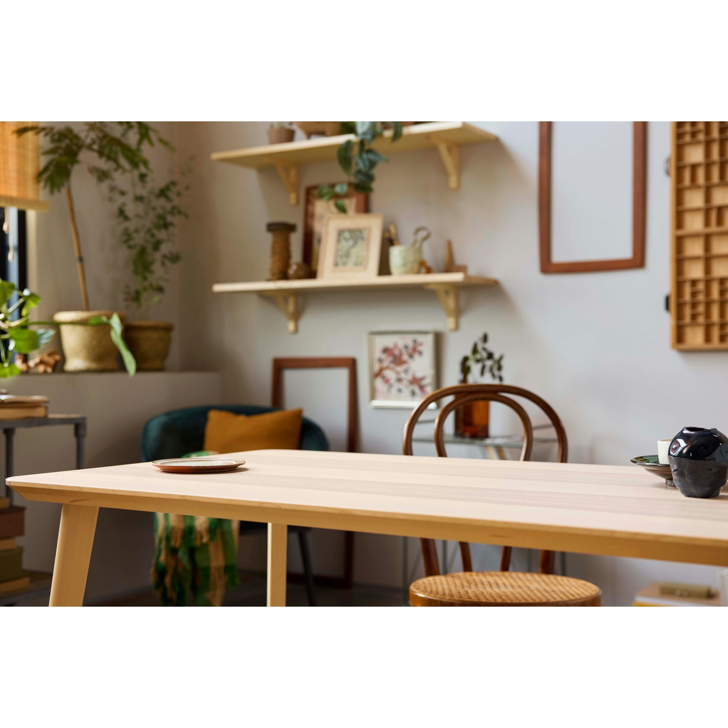 Tavolo di legno con piatto, sedia sullo sfondo, piante, mensole con decorazioni. Luce naturale intensa in un interno accogliente.