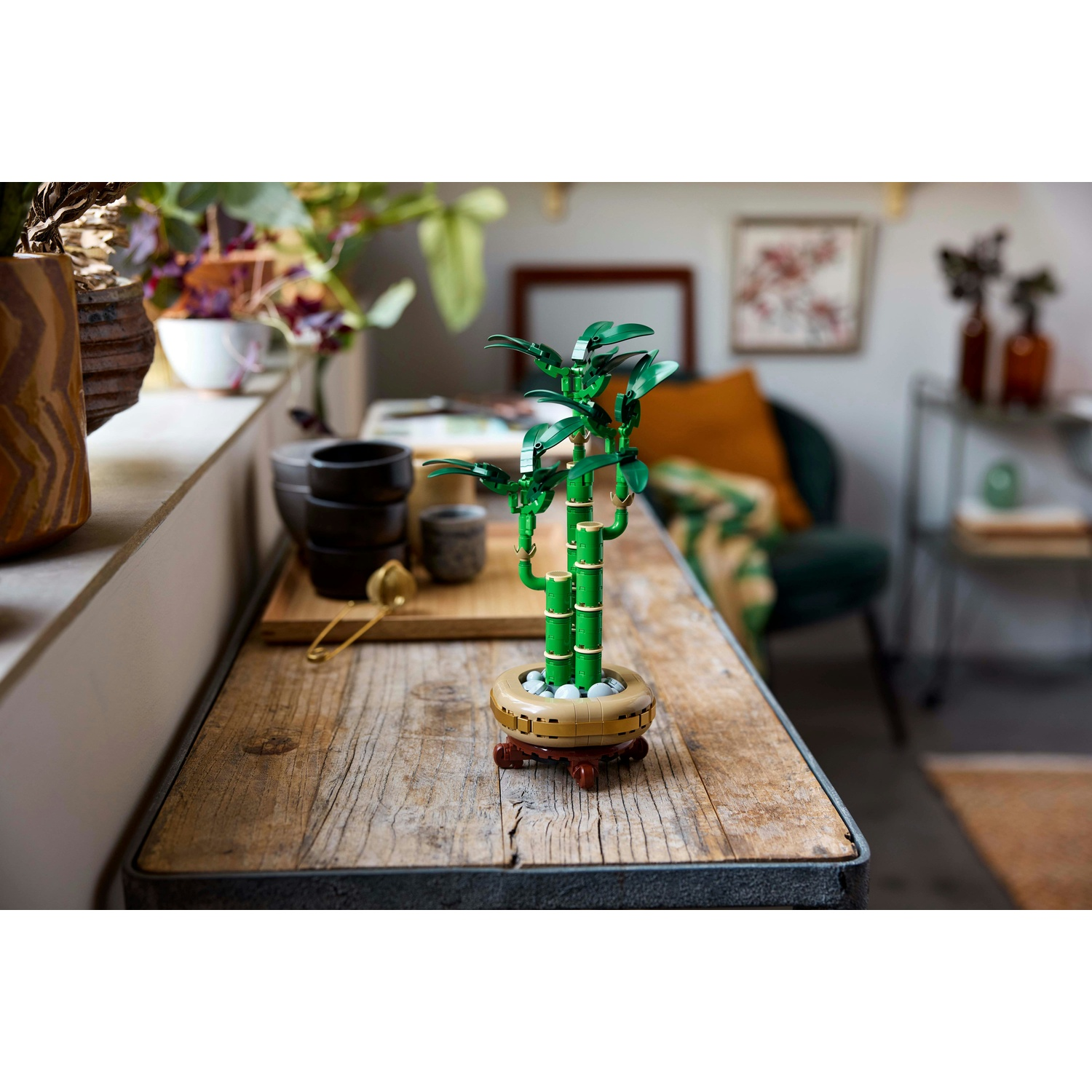 Una pianta di bambù Lego è su un tavolo di legno. Altri oggetti sul tavolo includono ciotole, un colino da tè e altre piante sullo sfondo.