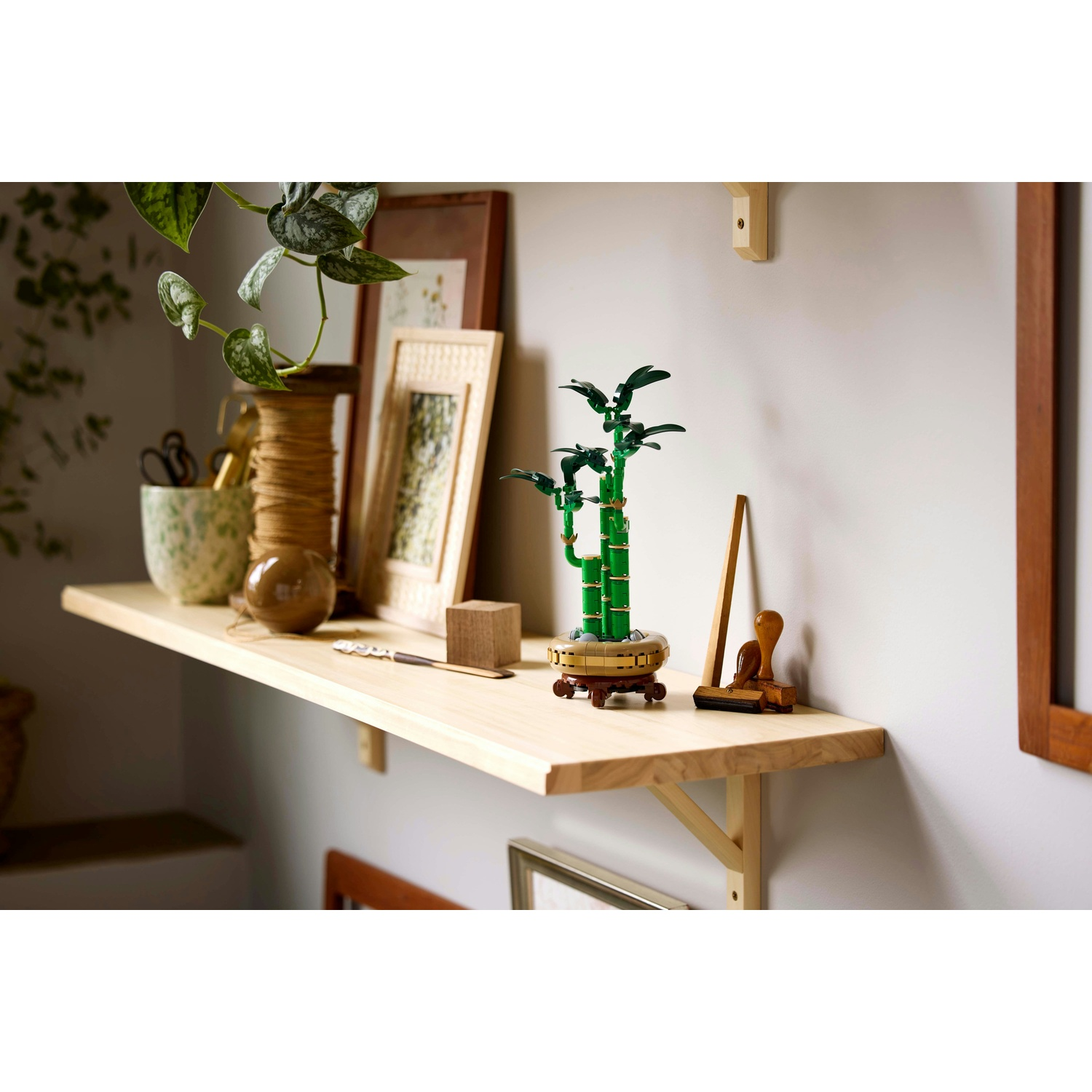 Una mensola espone una pianta di bambù, cornici e decorazioni. Foglie verdi pendono sopra. Una mensola di legno con vari oggetti.