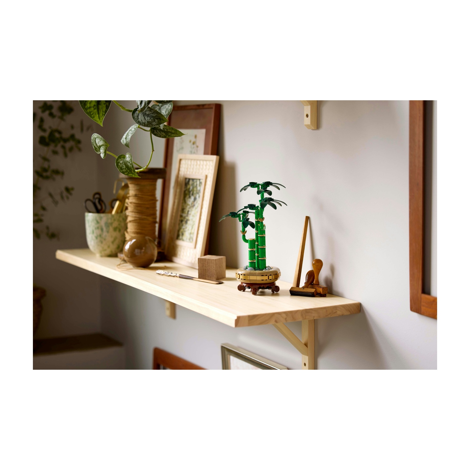 Una mensola di legno con una piccola pianta di bambù verde, cornici e altre decorazioni. Lo sfondo è un muro bianco con un'altra cornice.