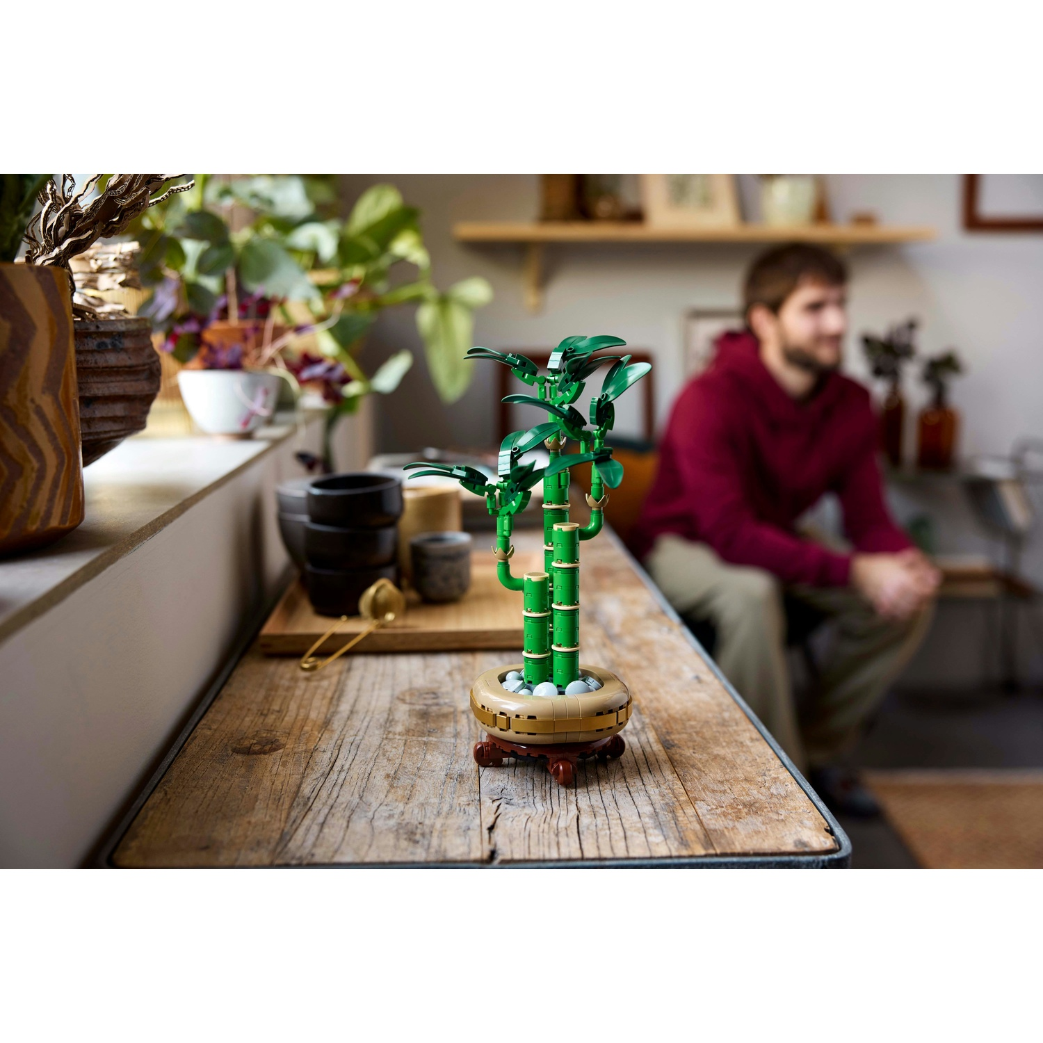 Una pianta di bambù Lego è su un tavolo di legno. Un uomo con una camicia rossa è sfocato sullo sfondo. Altre piante e oggetti sono visibili.