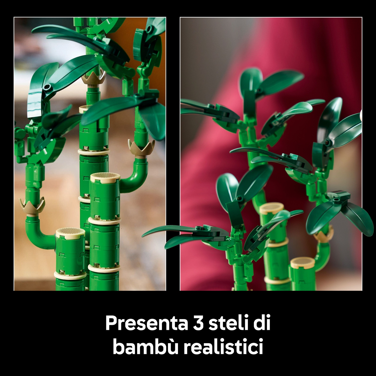 L'immagine mostra dettagliati steli di bambù verdi con foglie. Lo sfondo è rosso sfocato. Il testo recita 'Presenta 3 steli di bambù realistici'.
