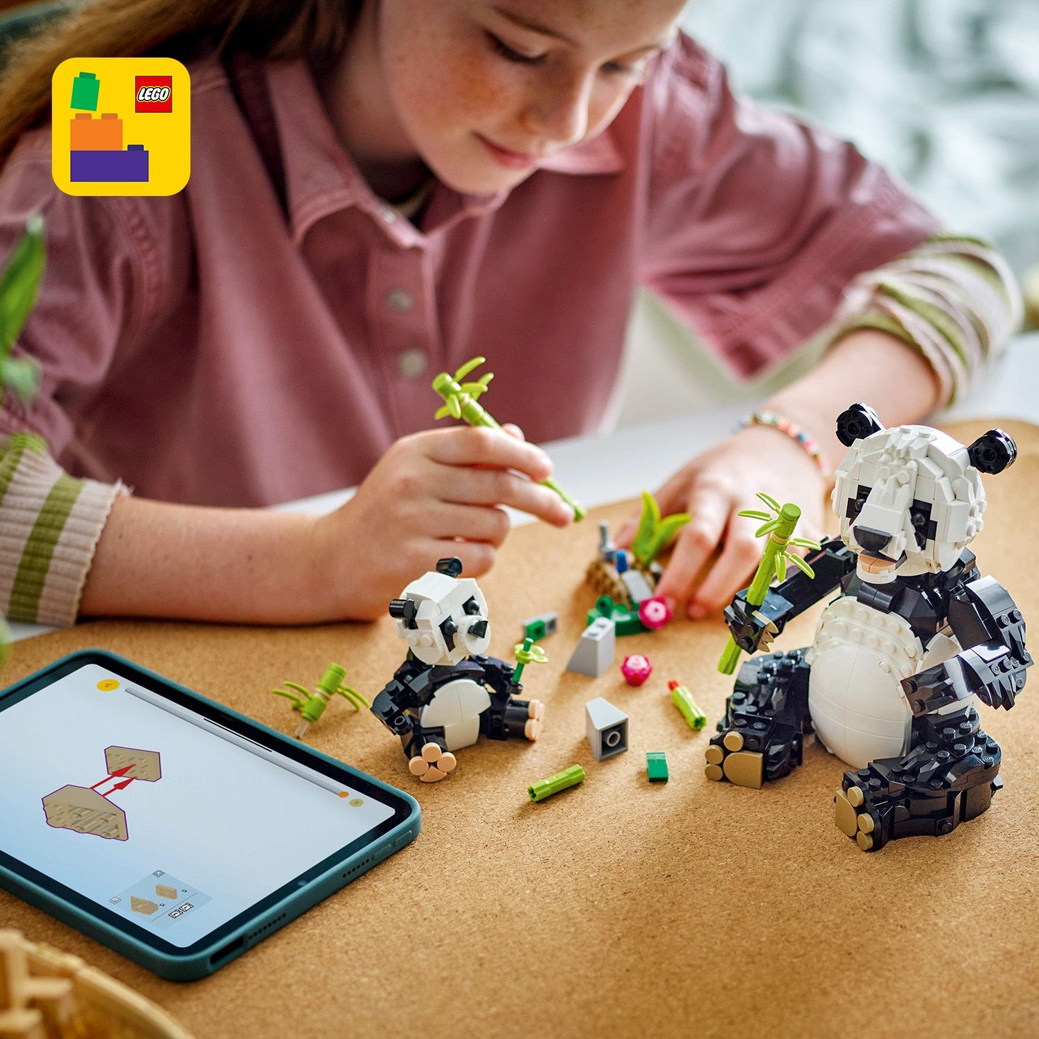 Una ragazza costruisce panda LEGO con un tablet che mostra le istruzioni. Due modelli di panda e bambù sono su una superficie di sughero.