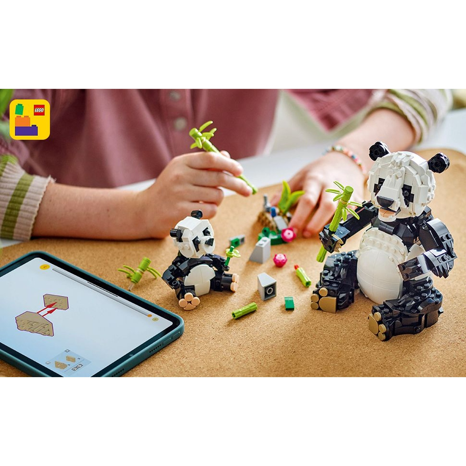 Una persona assembla panda LEGO con bambù. Un panda è grande, un altro piccolo. Un tablet mostra le istruzioni, su una superficie di sughero.