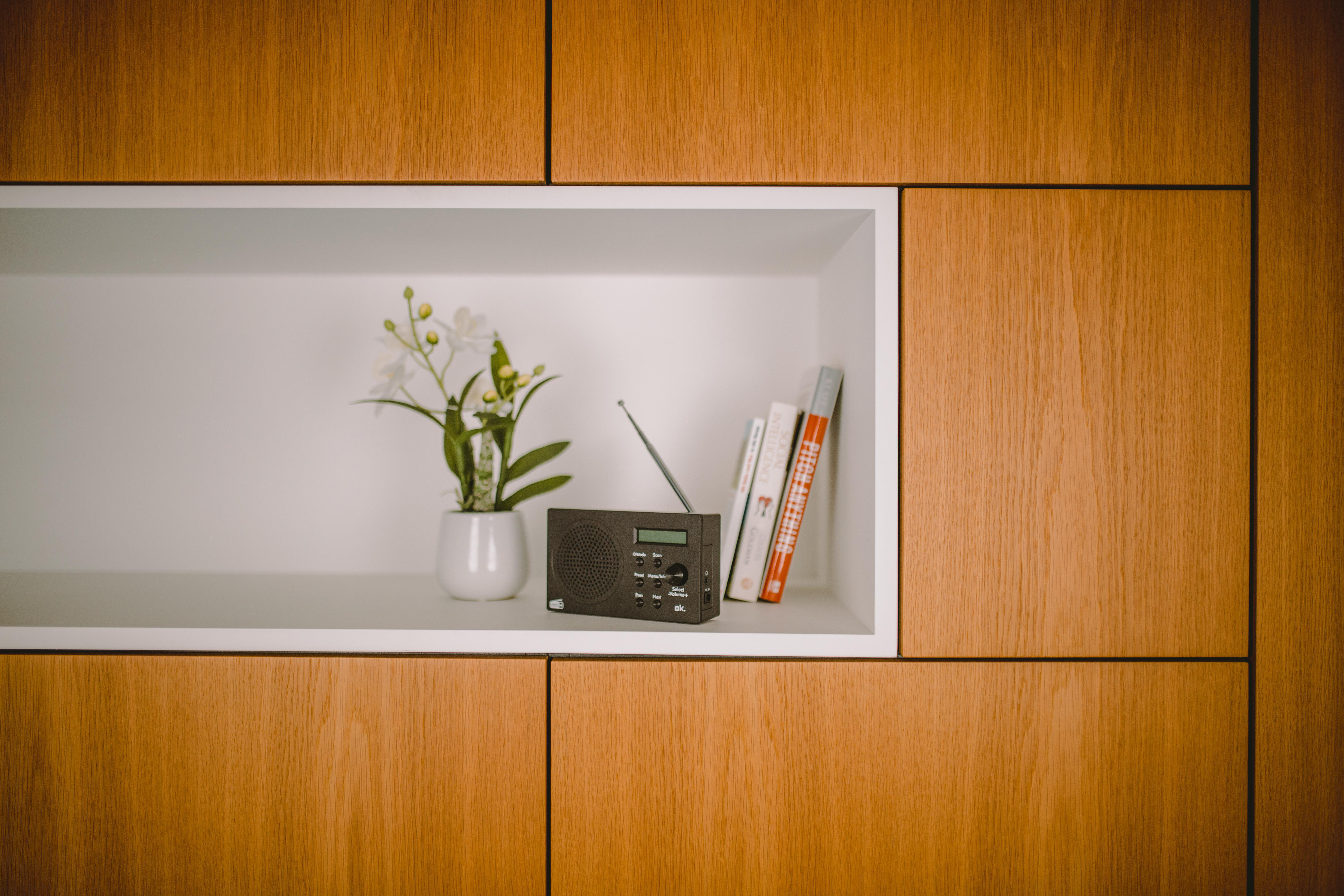 Ein Holzschrank mit einem weißen Regal, das ein Radio, Bücher und Blumen enthält. Der Schrank besteht aus Holzplatten.