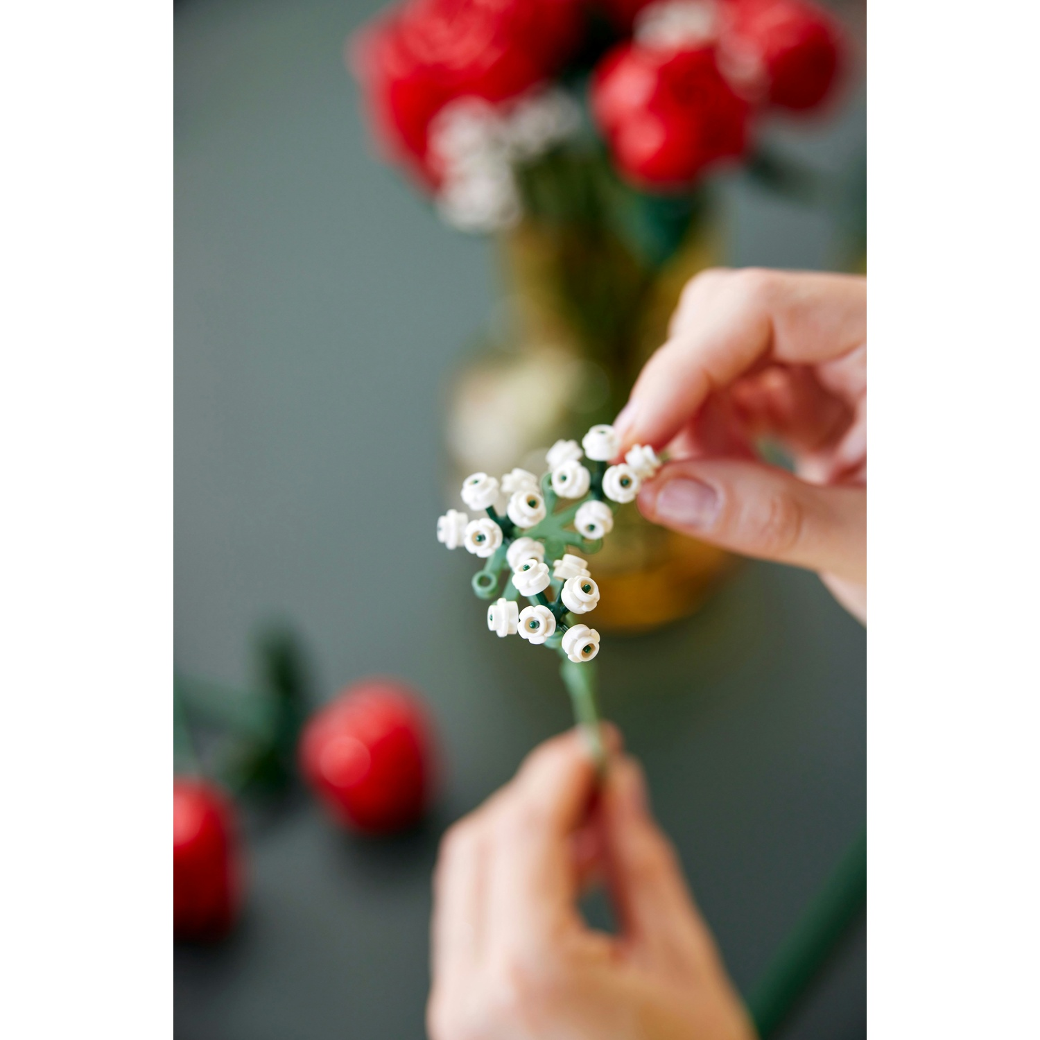 Mani che tengono un gambo di fiore bianco. Fiori rossi sullo sfondo e steli verdi. Superficie verde scuro.