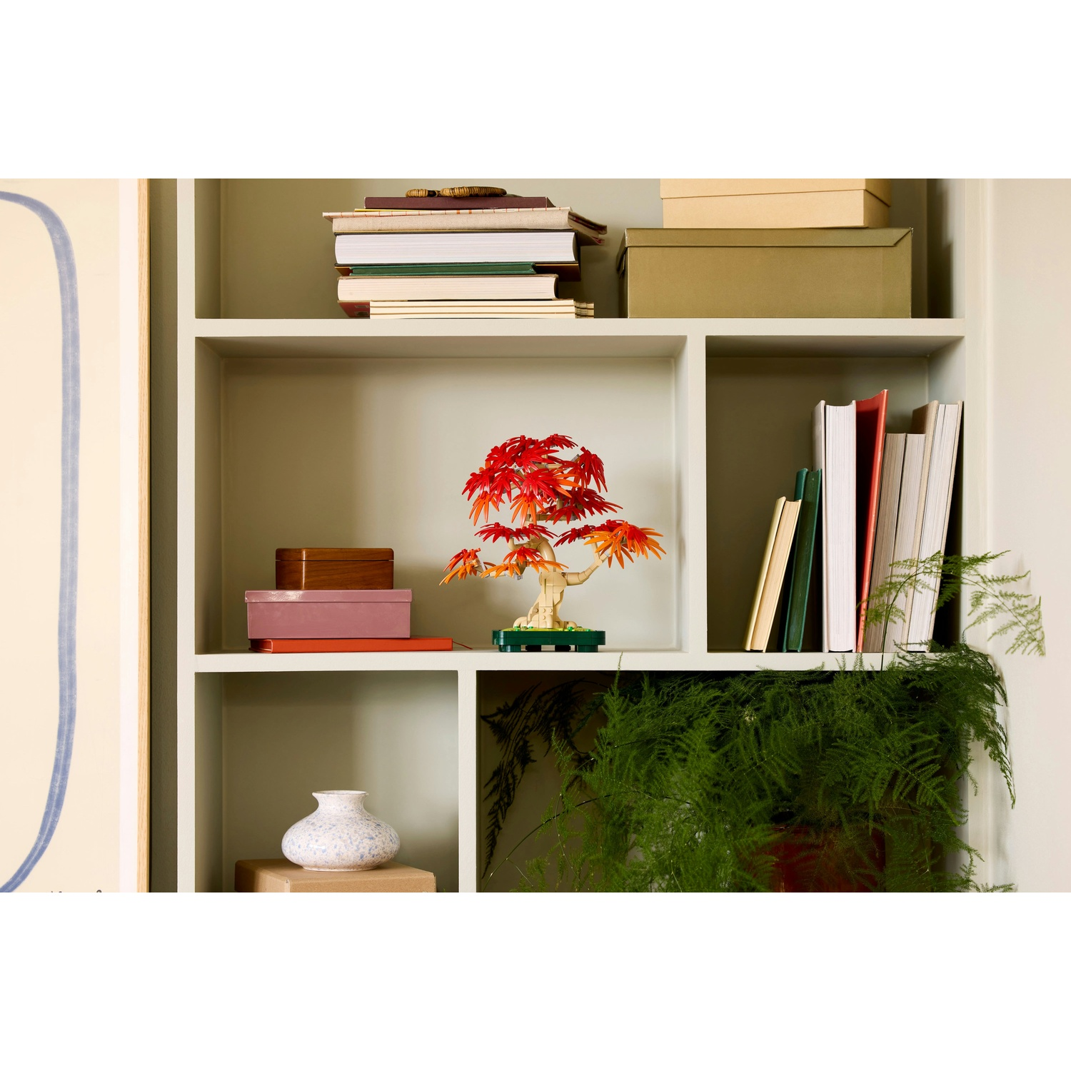 Una libreria bianca contiene libri, scatole, un bonsai e un vaso. Piante verdi sullo scaffale inferiore.