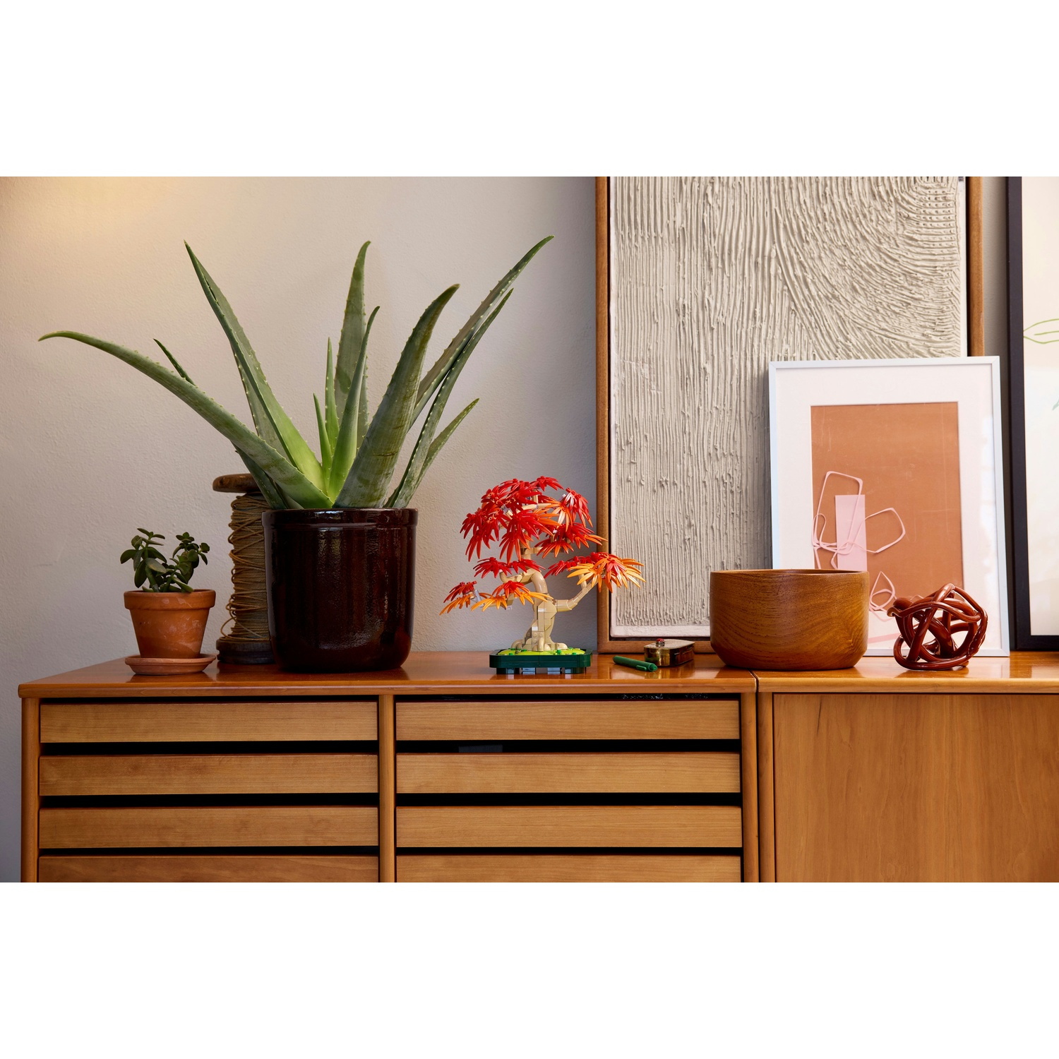 Un mobile in legno mostra piante, arte e decorazioni. Un'aloe è in un vaso. Un bonsai con foglie rosse è accanto a una ciotola di legno.