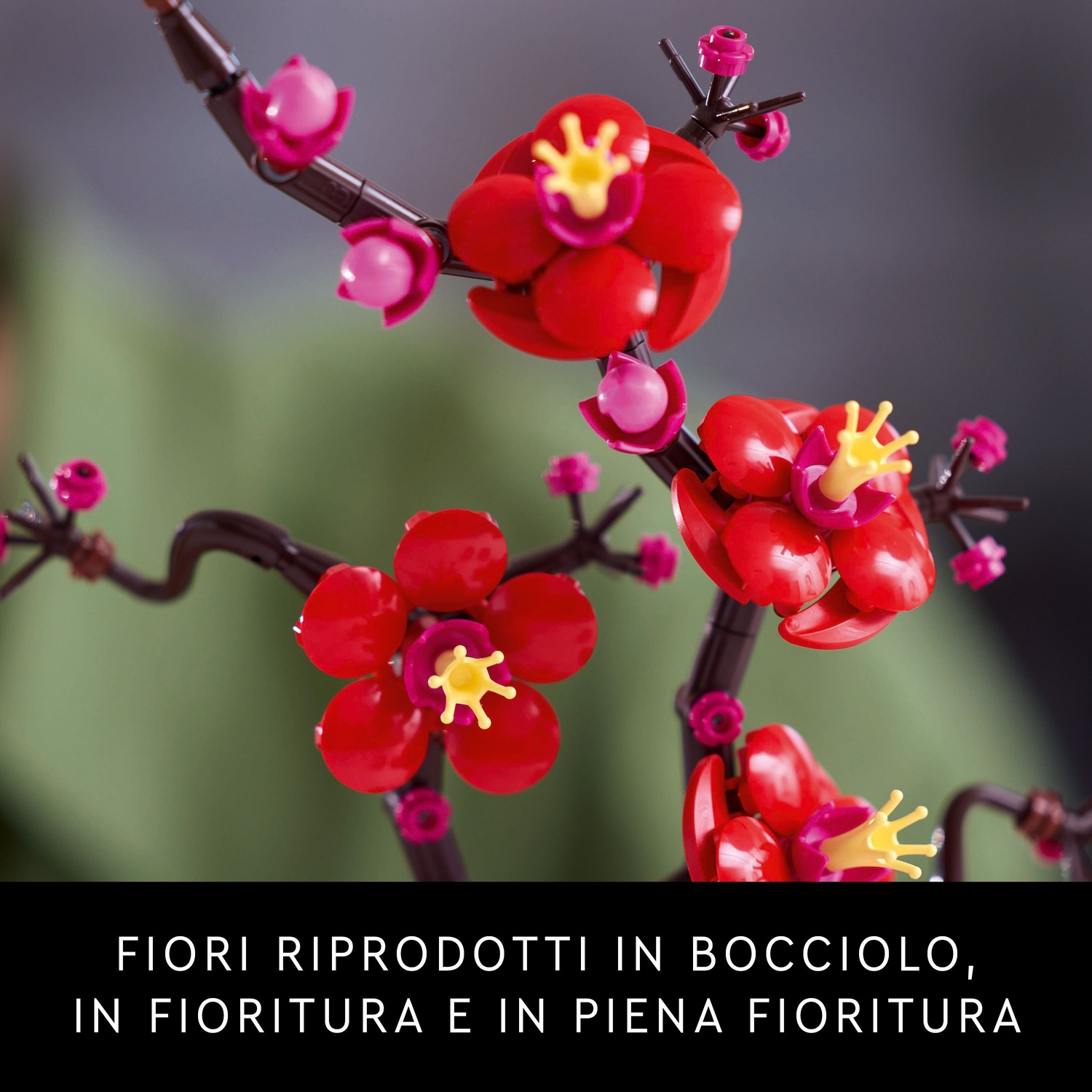 Primo piano di fiori artificiali in fiore. Petali rossi con centri gialli su steli marroni scuri su sfondo sfocato verde e grigio.