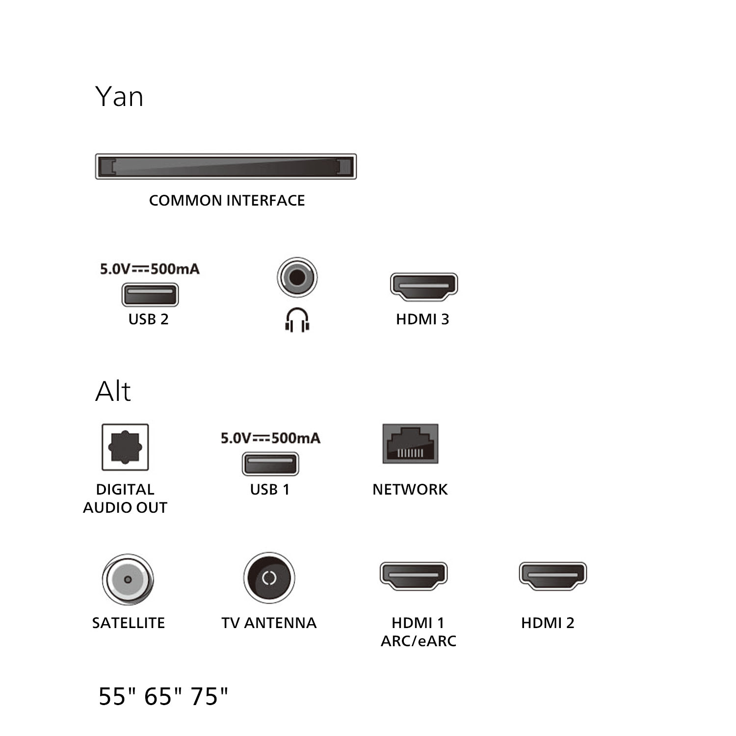 Çeşitli TV portlarını gösteren diyagram: HDMI, USB, anten, ağ ve ses çıkışı. 'Ortak Arayüz' gibi etiketler ve 55", 65", 75" boyutları içerir.