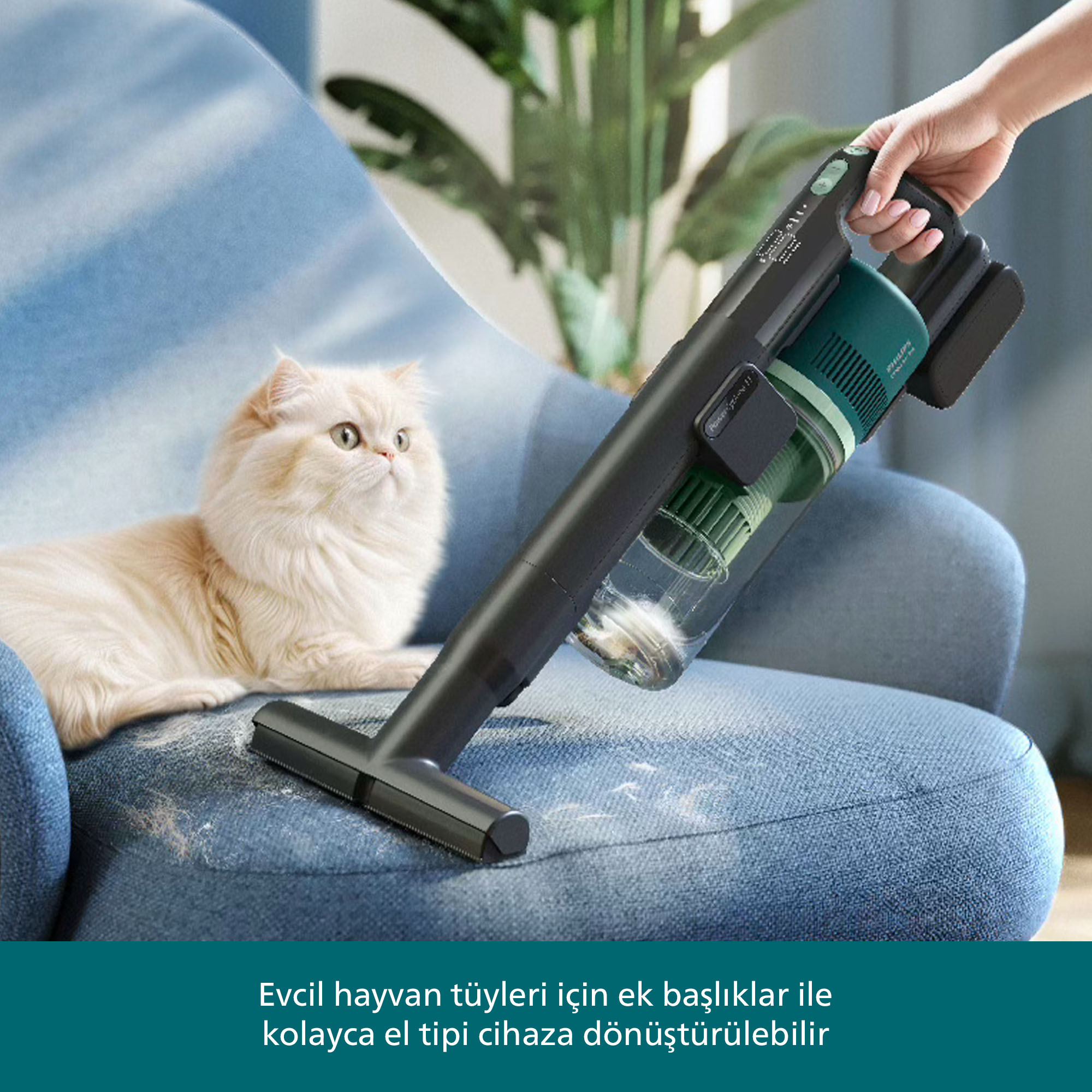 Mavi bir koltuğu temizlemek için elde taşınan bir elektrik süpürgesi kullanılıyor, üzerinde beyaz bir kedi oturuyor.