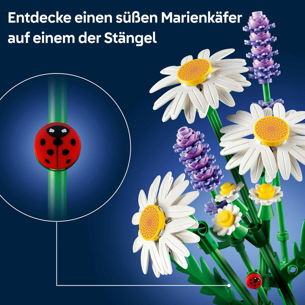 Ein roter Marienkäfer auf einem grünen Stiel. Weiße Gänseblümchen und lila Lavendel im Hintergrund.