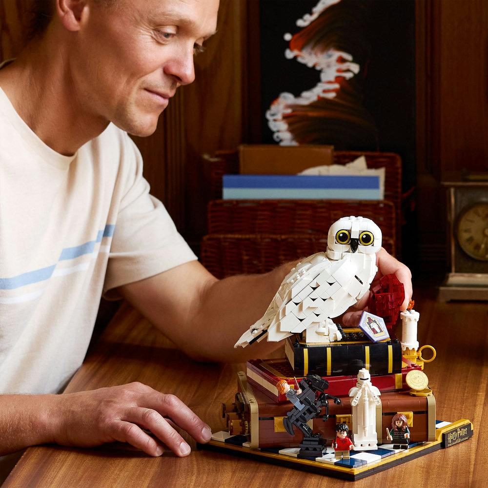 Ein Mann hält ein Lego-Set mit einer weißen Eule, Büchern und Harry-Potter-Figuren. Die Szene spielt drinnen auf einem Holztisch.