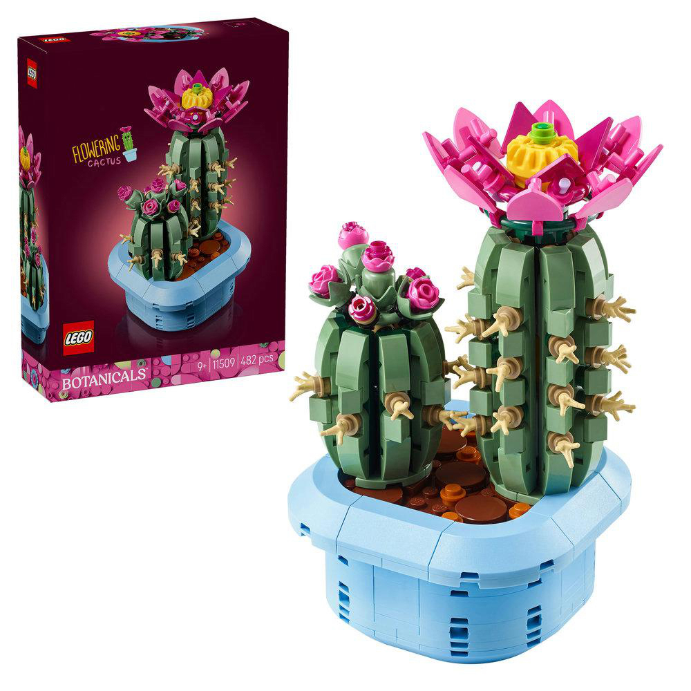 LEGO Flowering Cactus-Set. Das Set zeigt zwei Kaktusmodelle in einem blauen Topf und eine Box des gleichen Sets links.