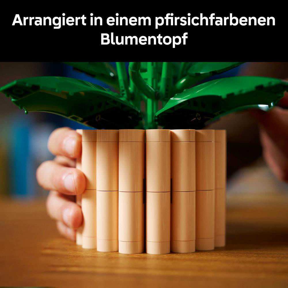 Eine Hand hält einen hellbraunen Blumentopf mit grüner Pflanze. Der Topf besteht aus vertikalen Teilen. Oben steht: 'Arrangiert in einem pfirsichfarbenen Blumentopf'.