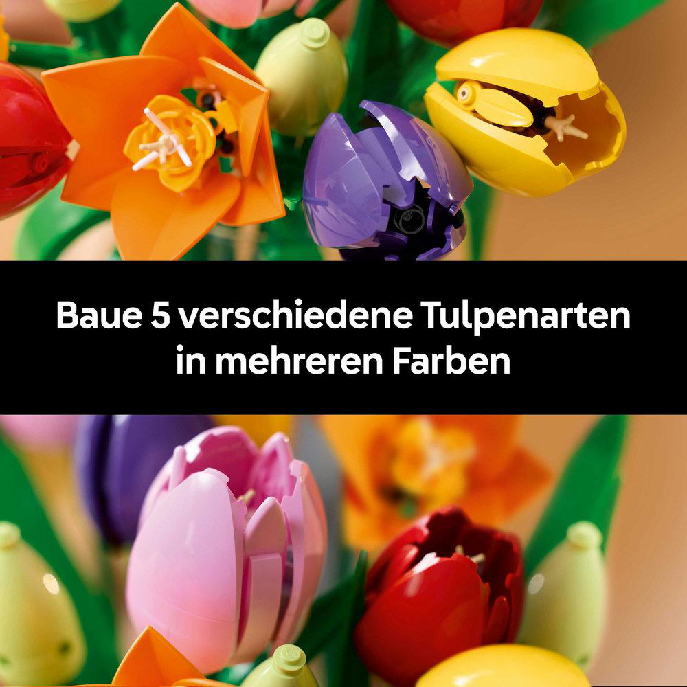 Bunte Spielzeugtulpen in verschiedenen Farben, Orange, Lila, Gelb und Rot. Ein schwarzes Banner unten enthält deutschen Text.
